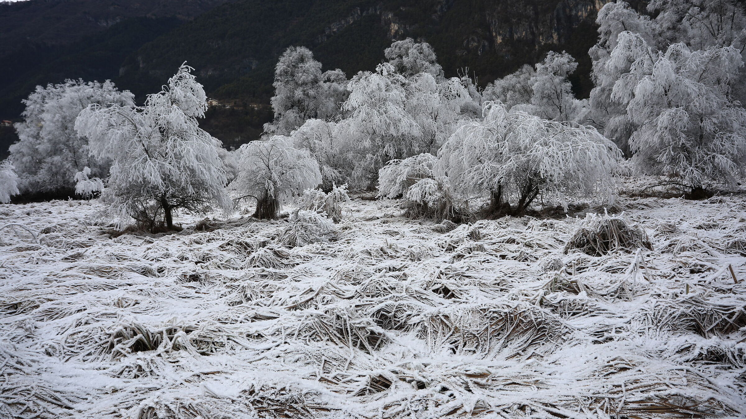 Galaverna Ponte Pià 2