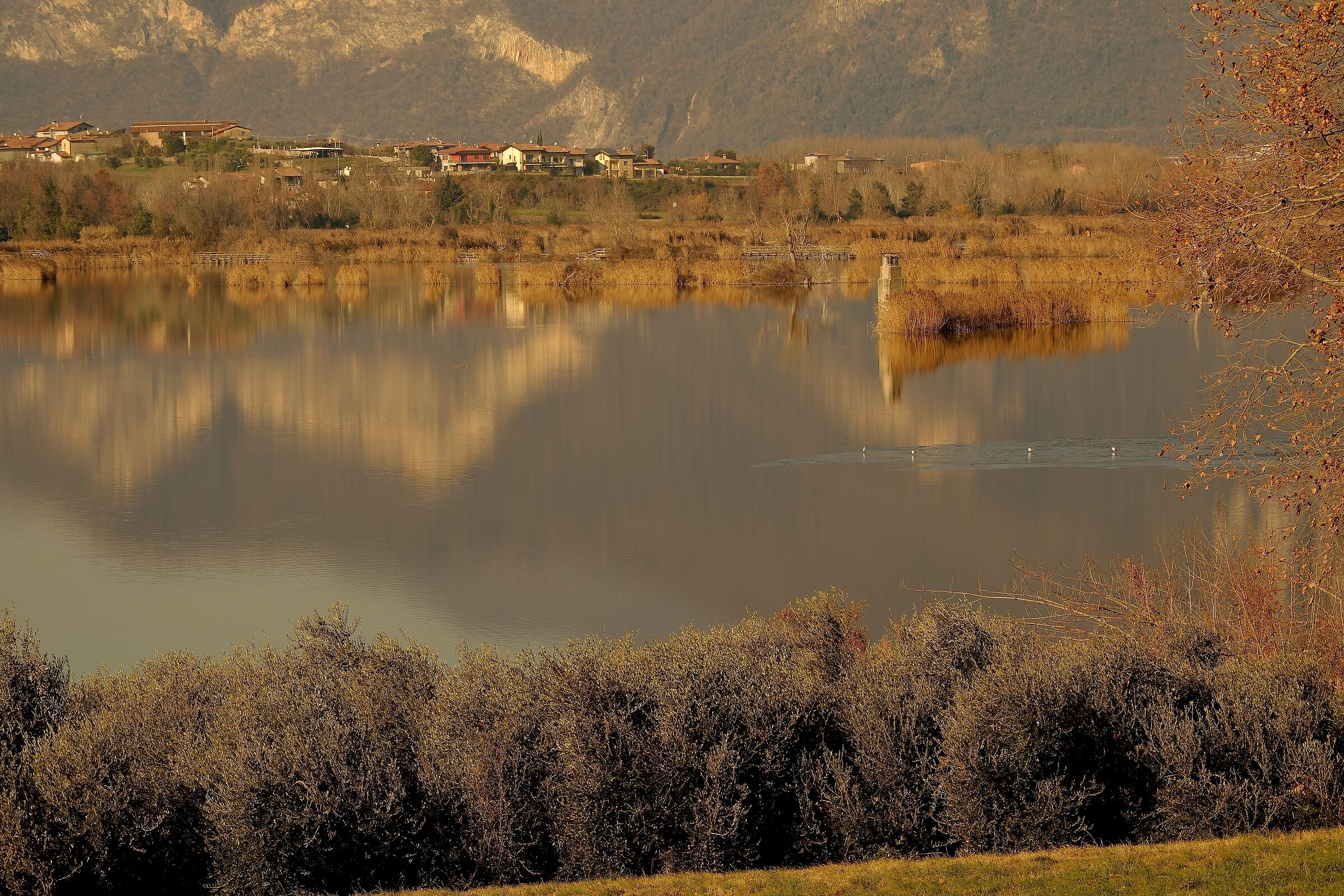 Cartolina dalle “torbiere” lago di Iseo