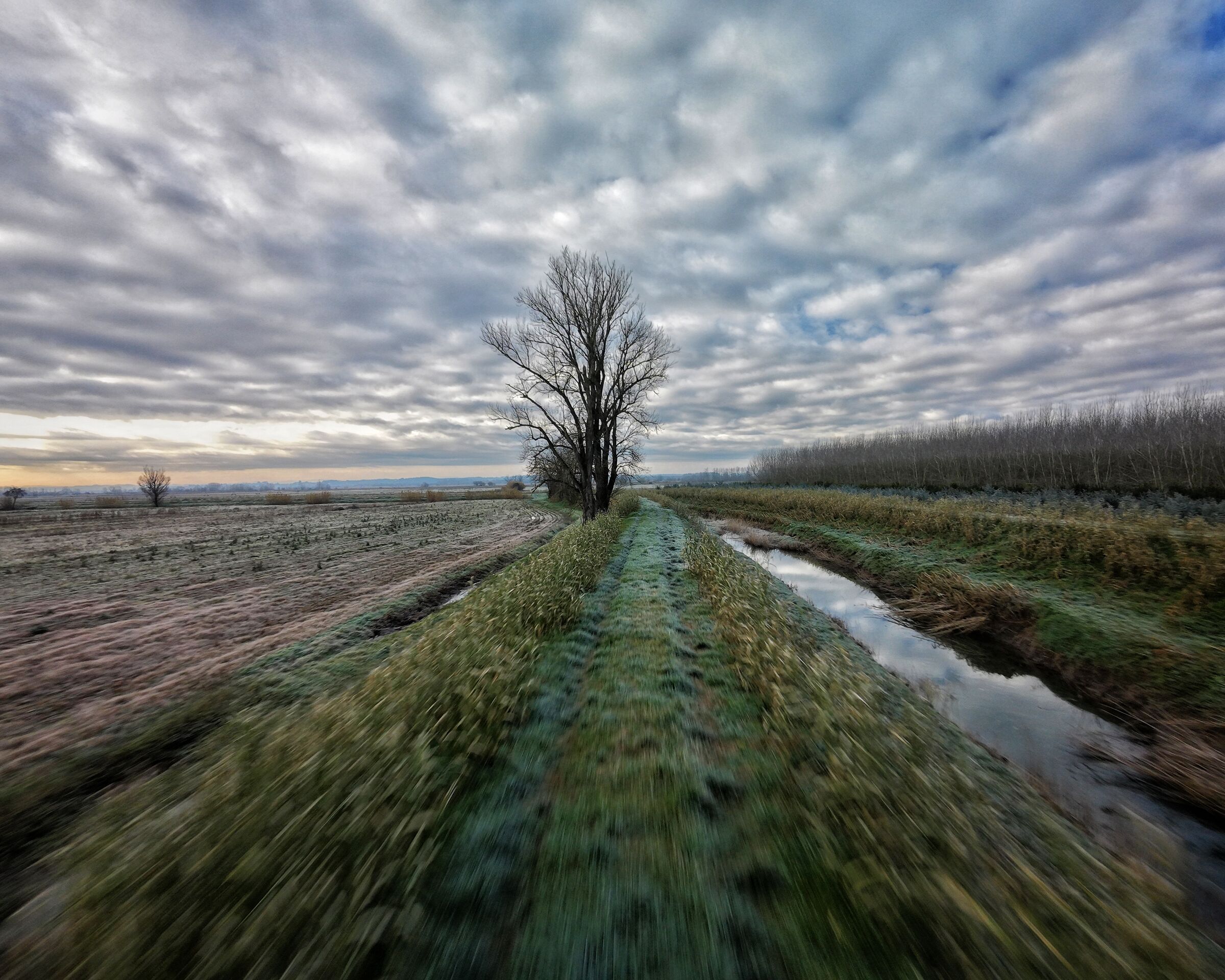 Inverno dinamico