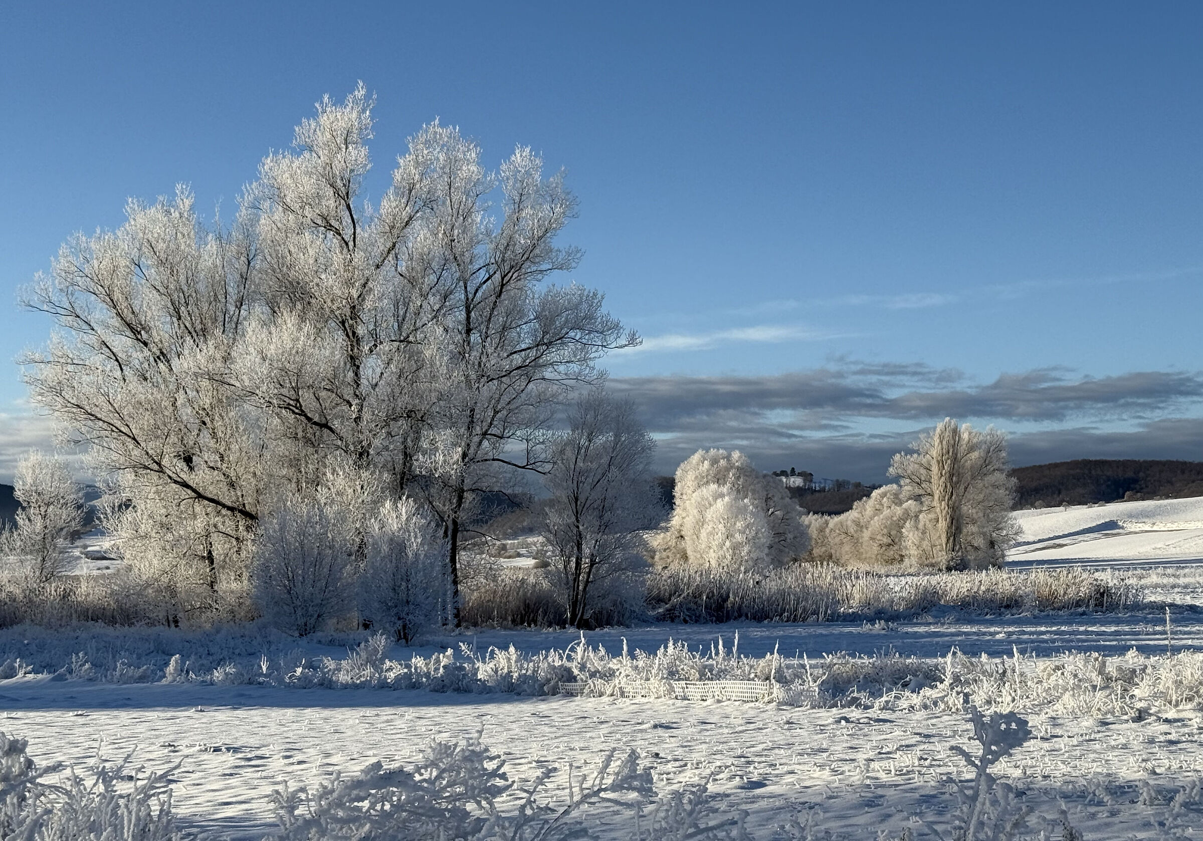 Colfiorito Regional Park