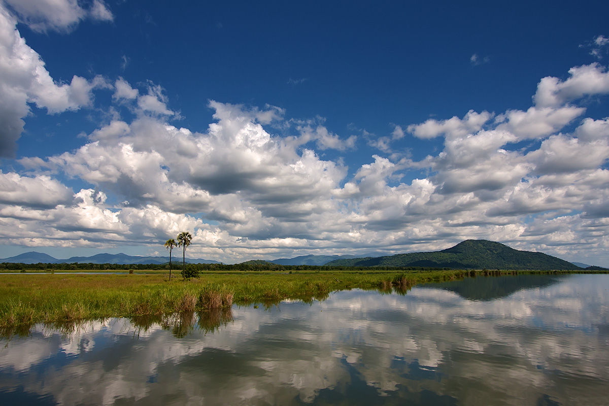 Sulle orme di Livingstone: riflessi sul fiume Shire.