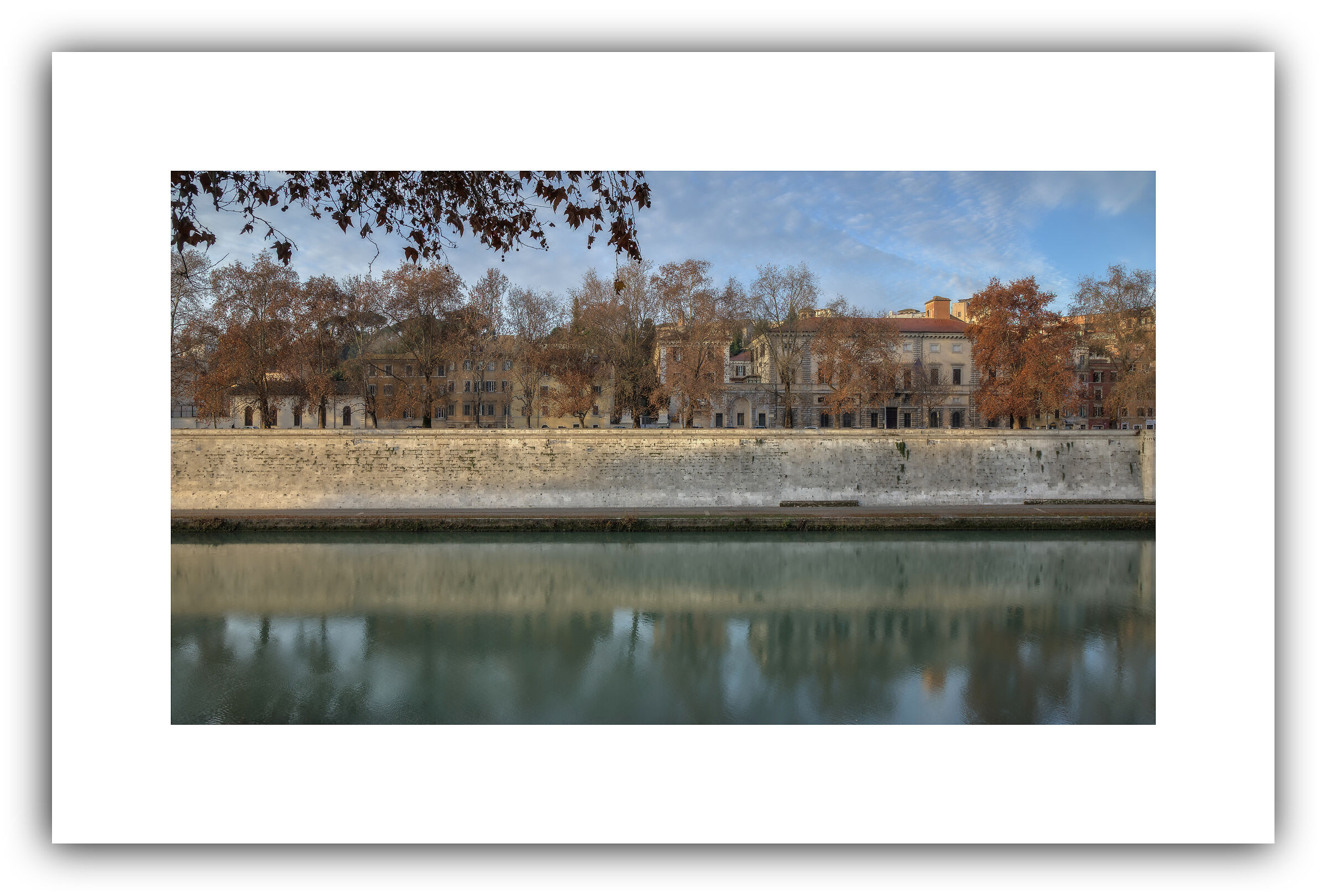 Lungotevere Farnesina (Rome)