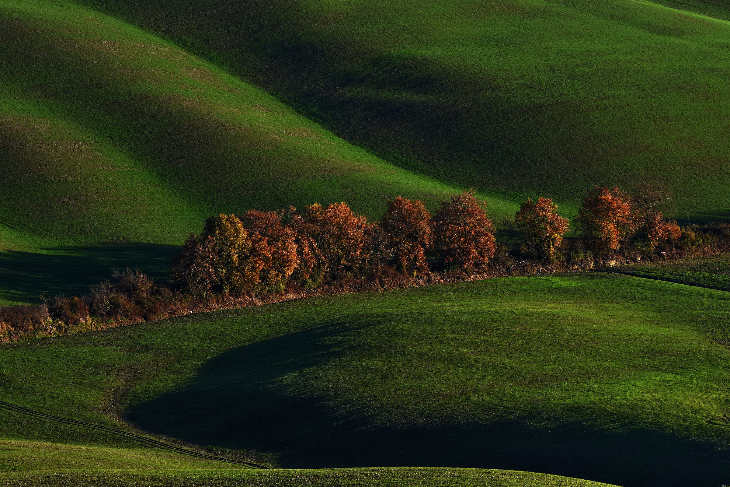 soft hills.
