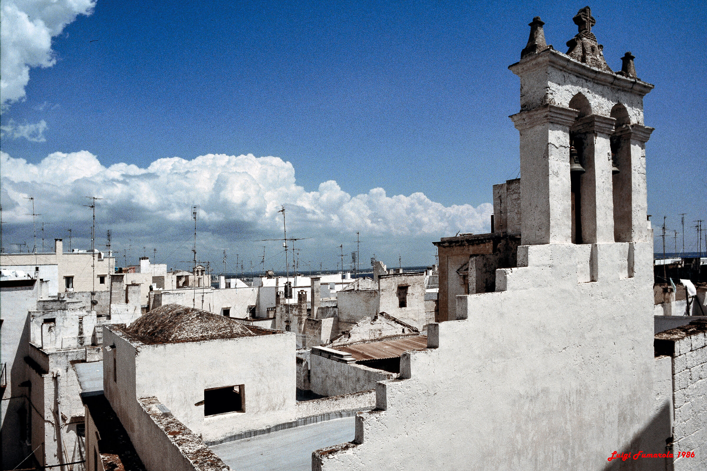 Roofs of the historic center.