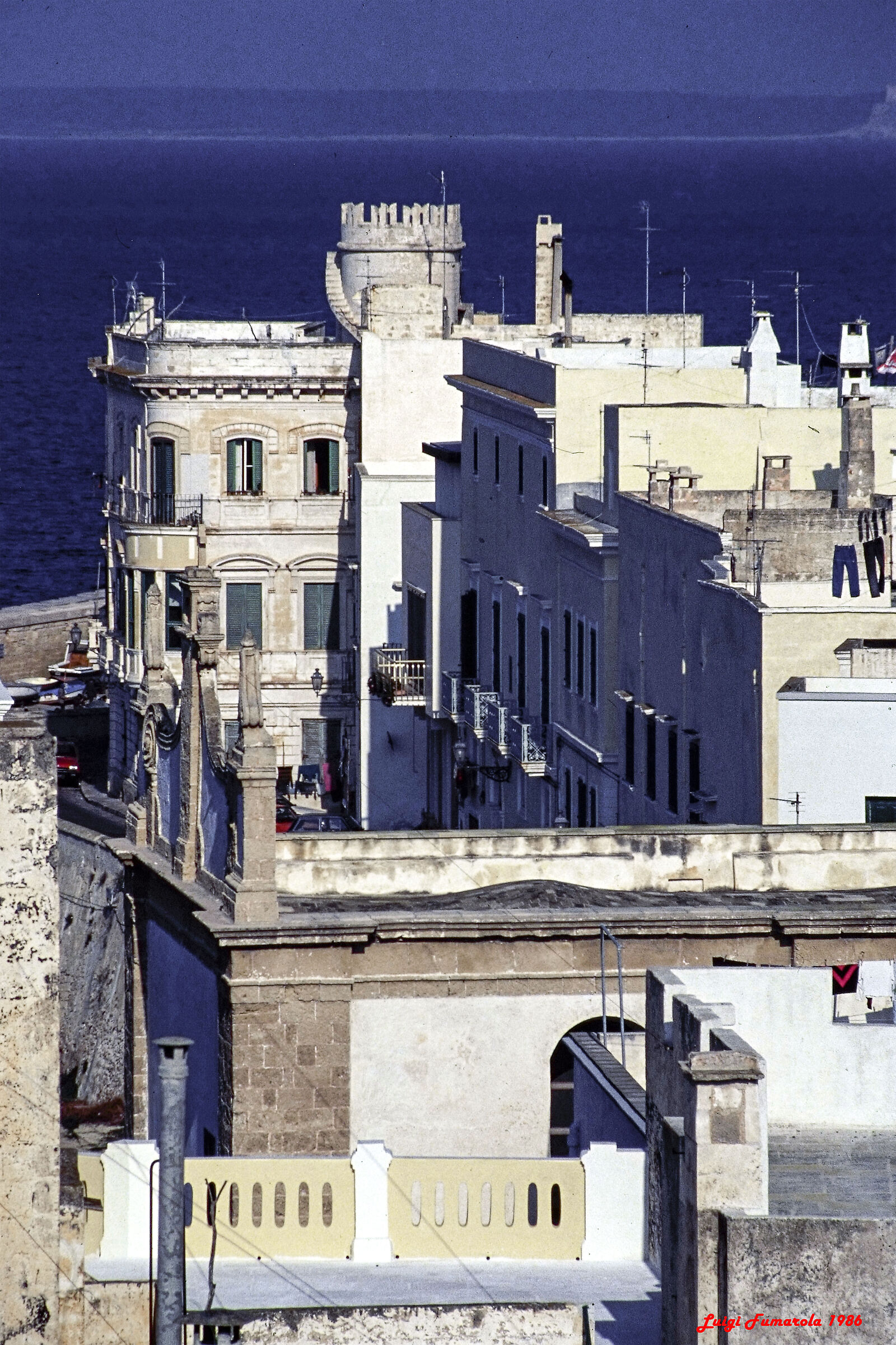 Roofs of the historic center.