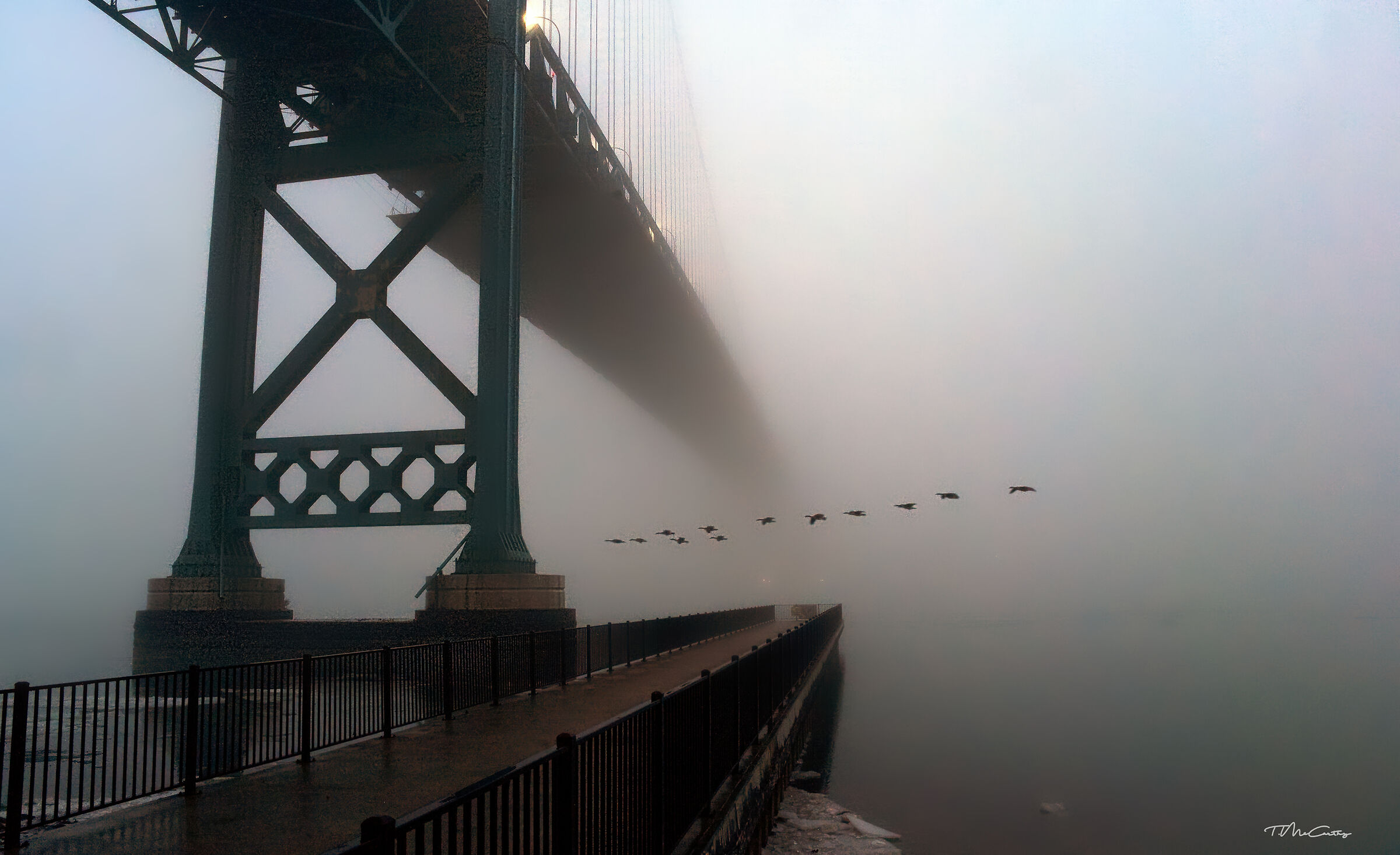 Sera d'inverno nebbiosa