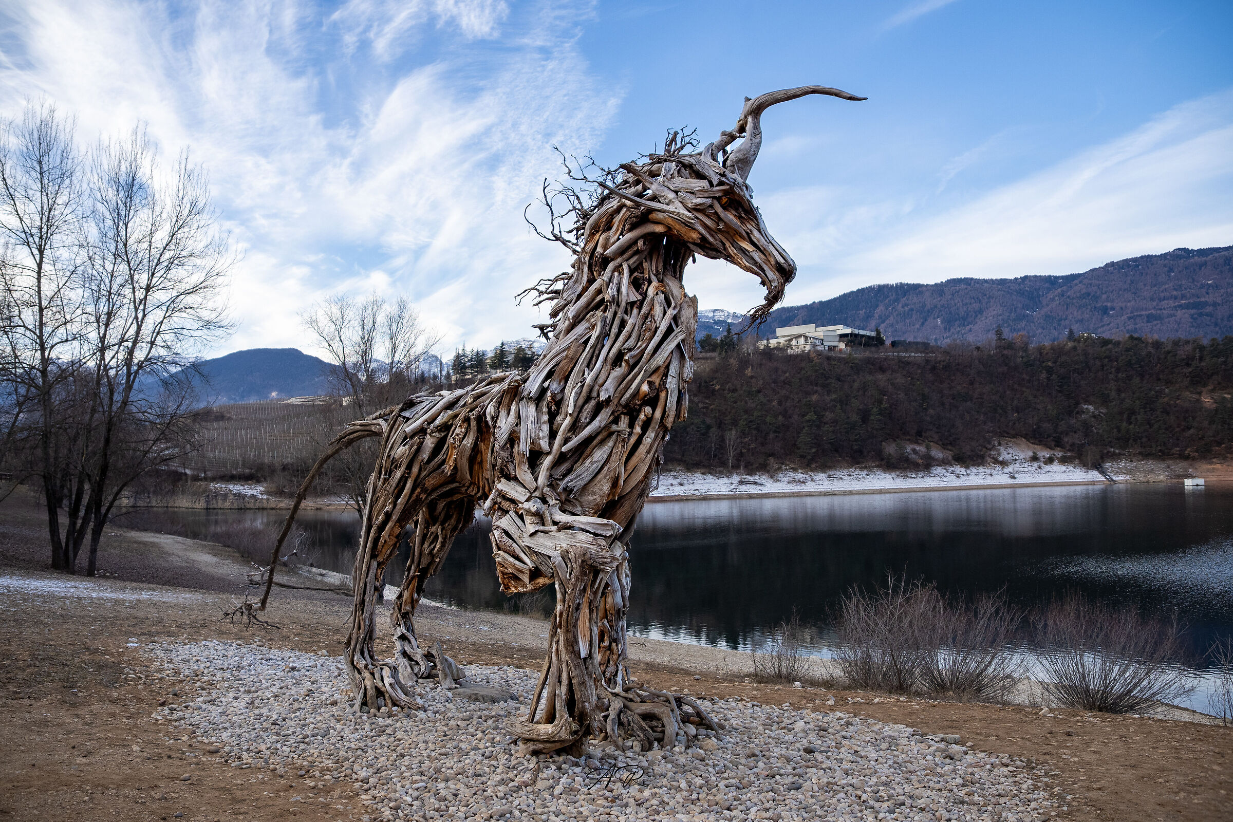 The Plaza Radicosaur