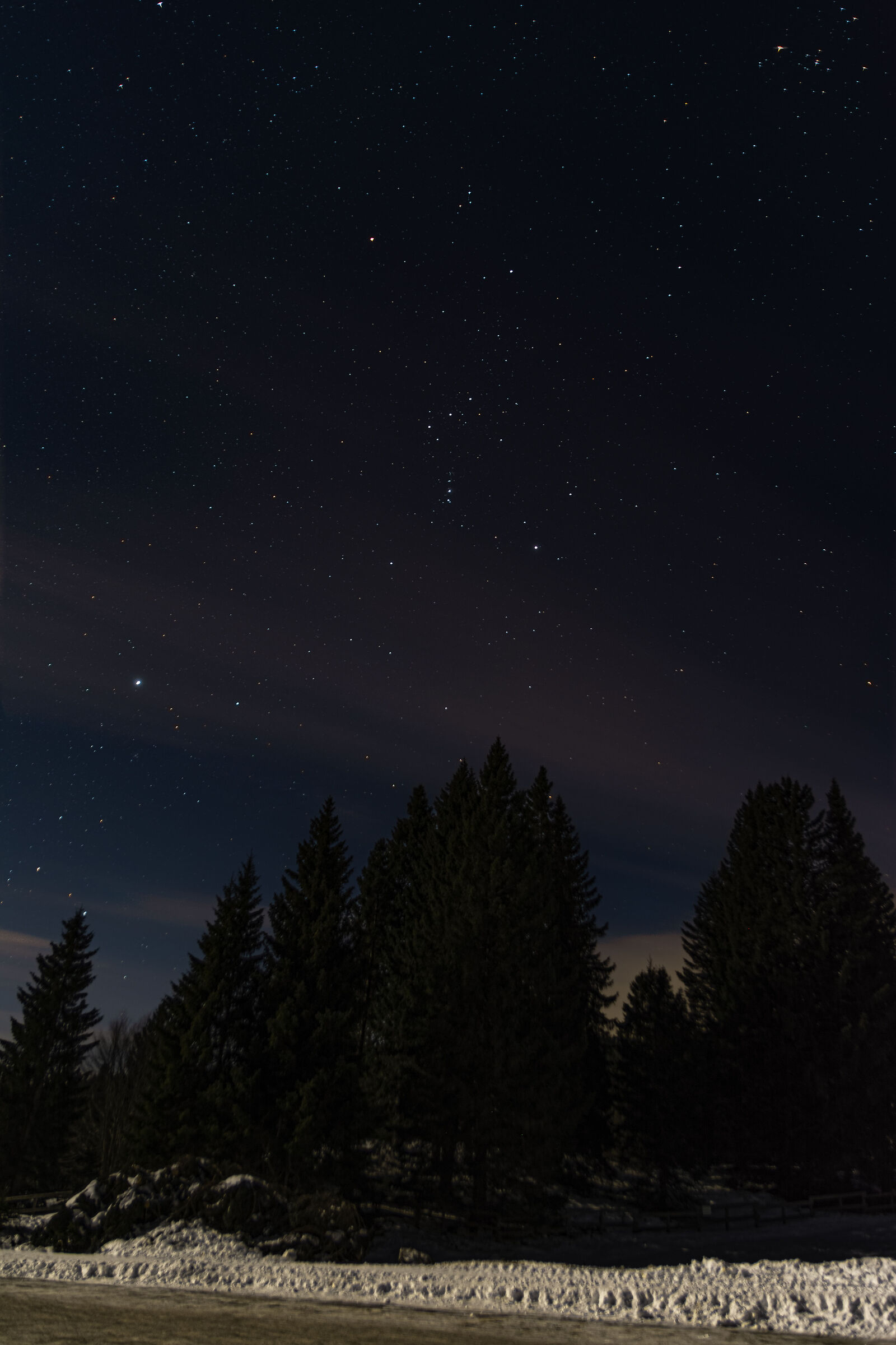 Orione in Folgaria a -14°C