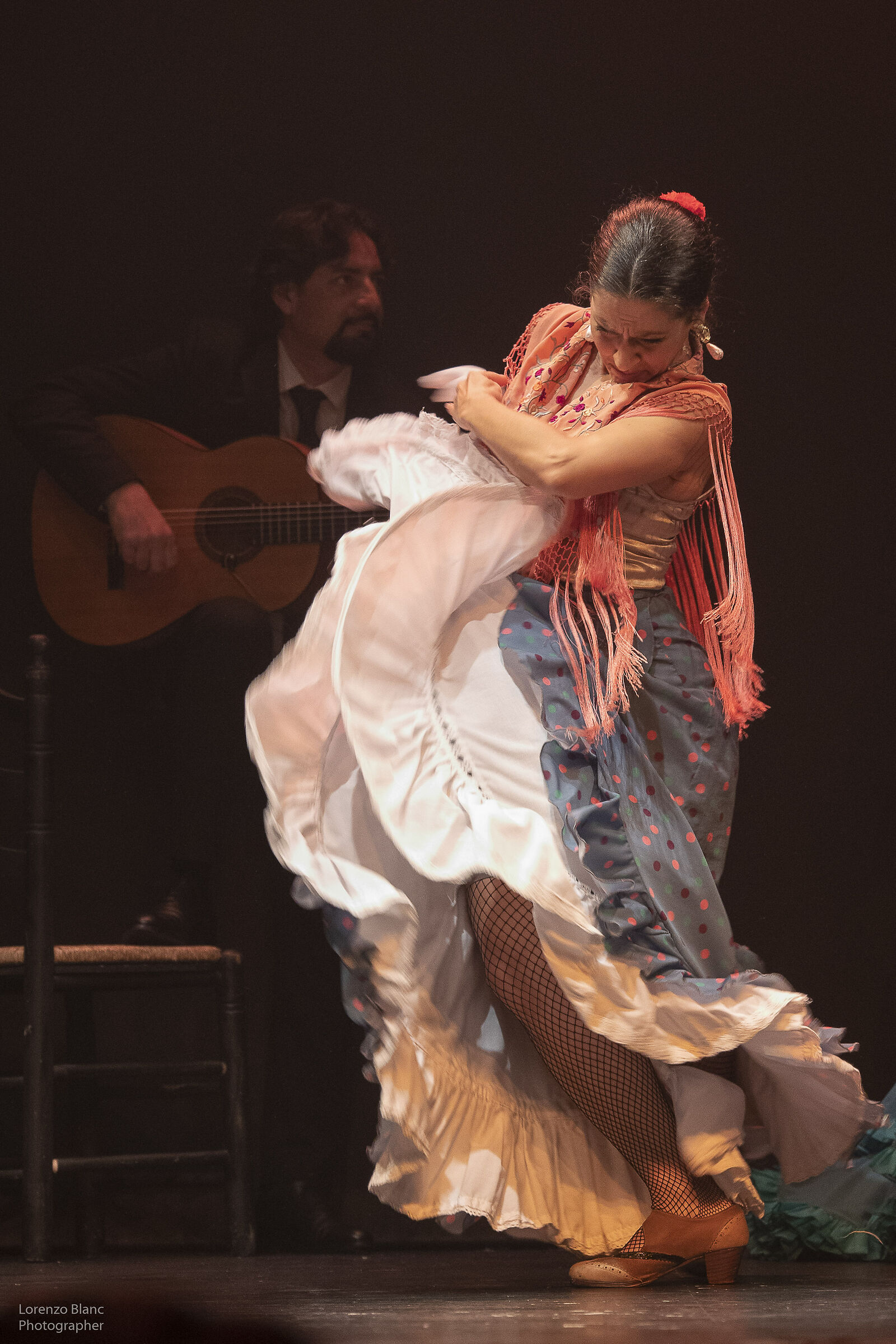 Bailaora Flamenca