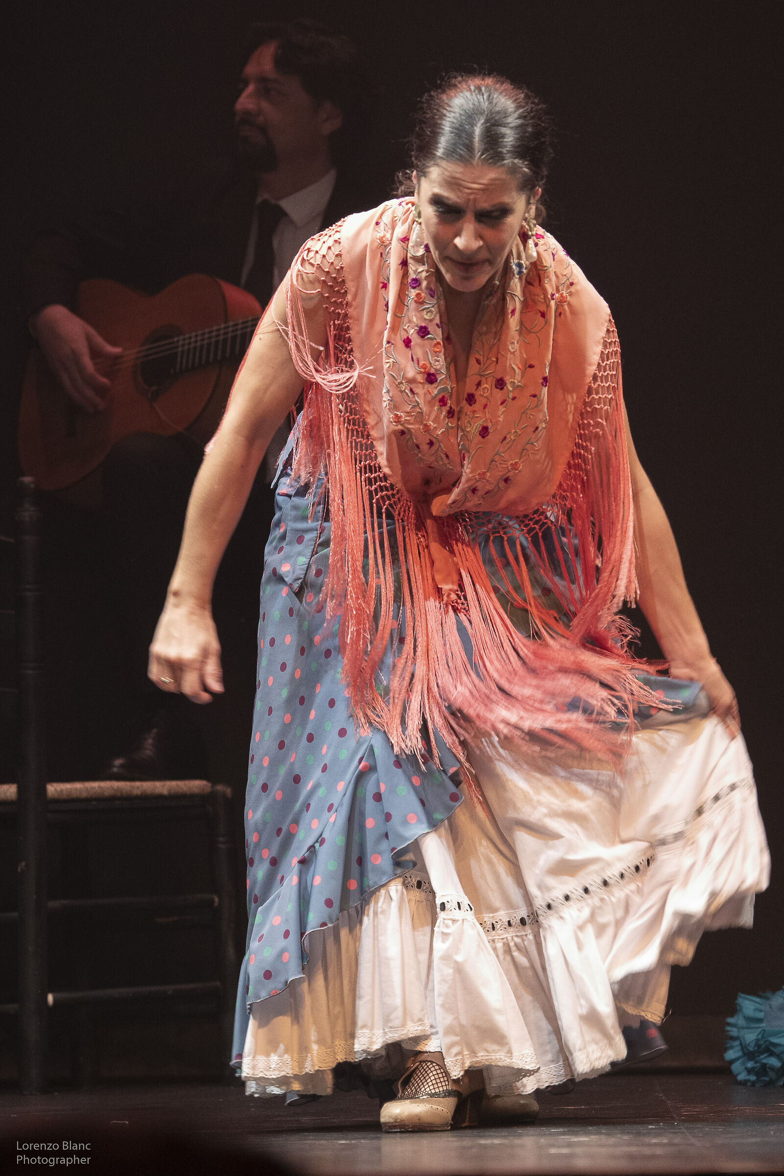 Bailaora Flamenca