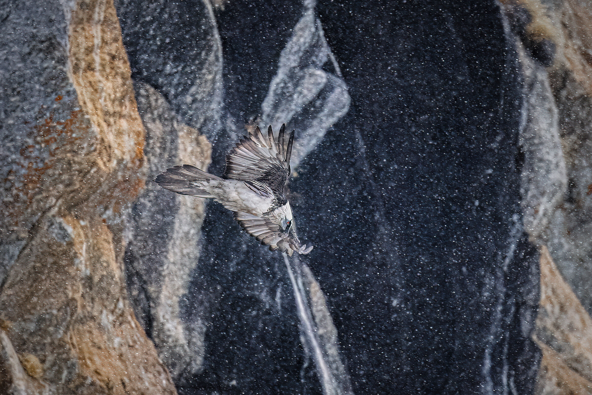 volare sotto la neve