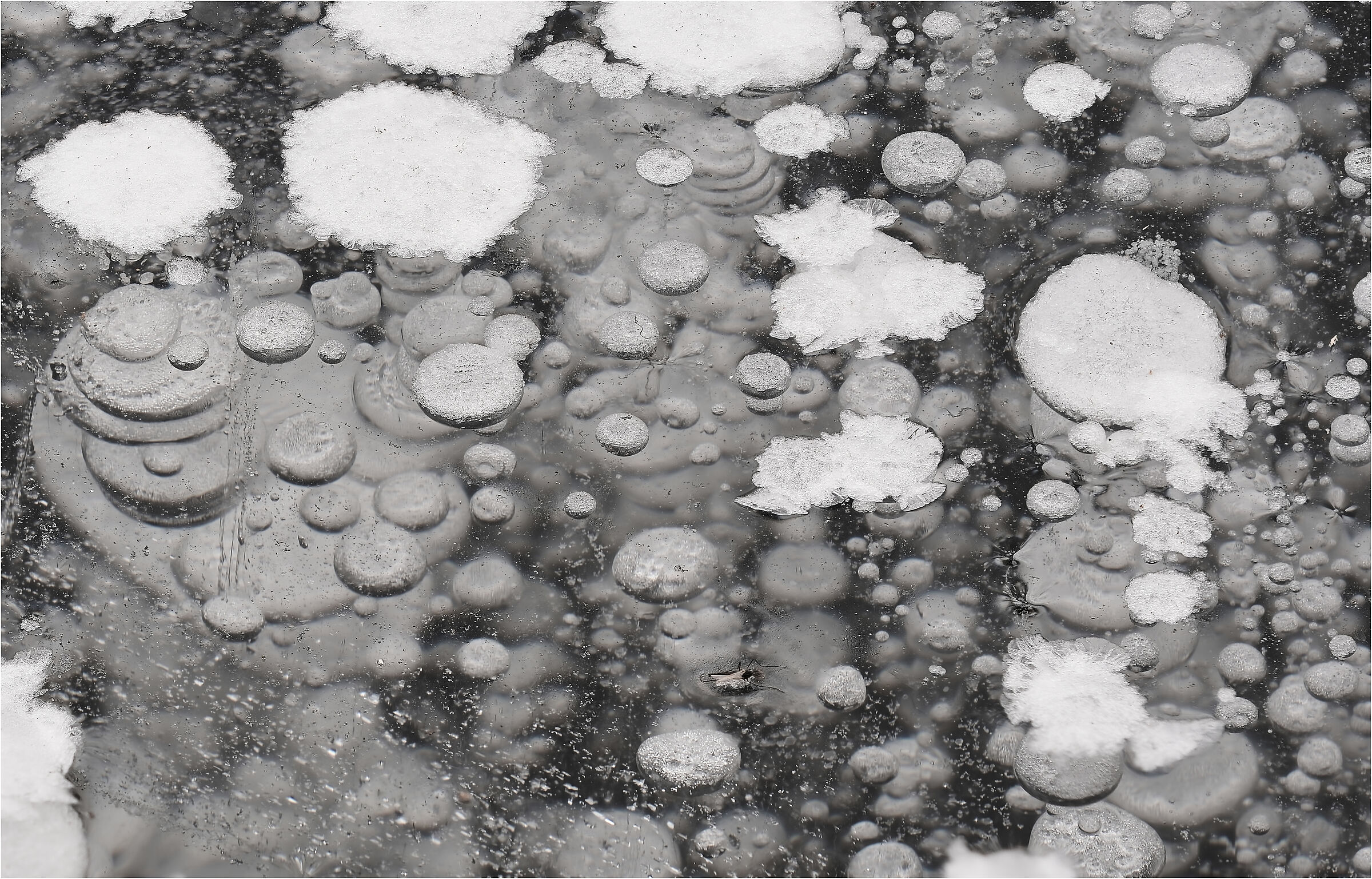 -ice molds-