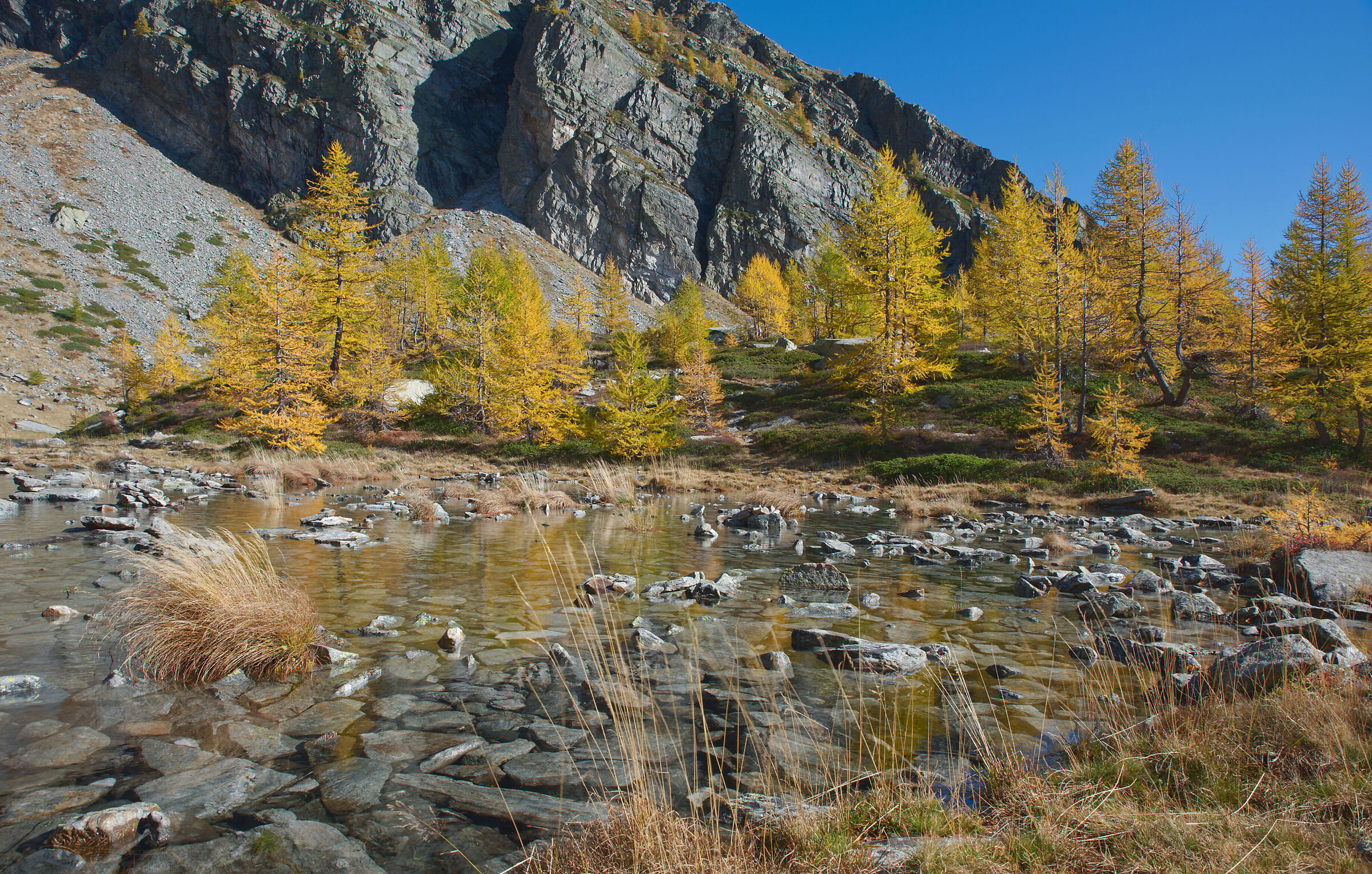 Alta Val Bognanco - the colours of autumn