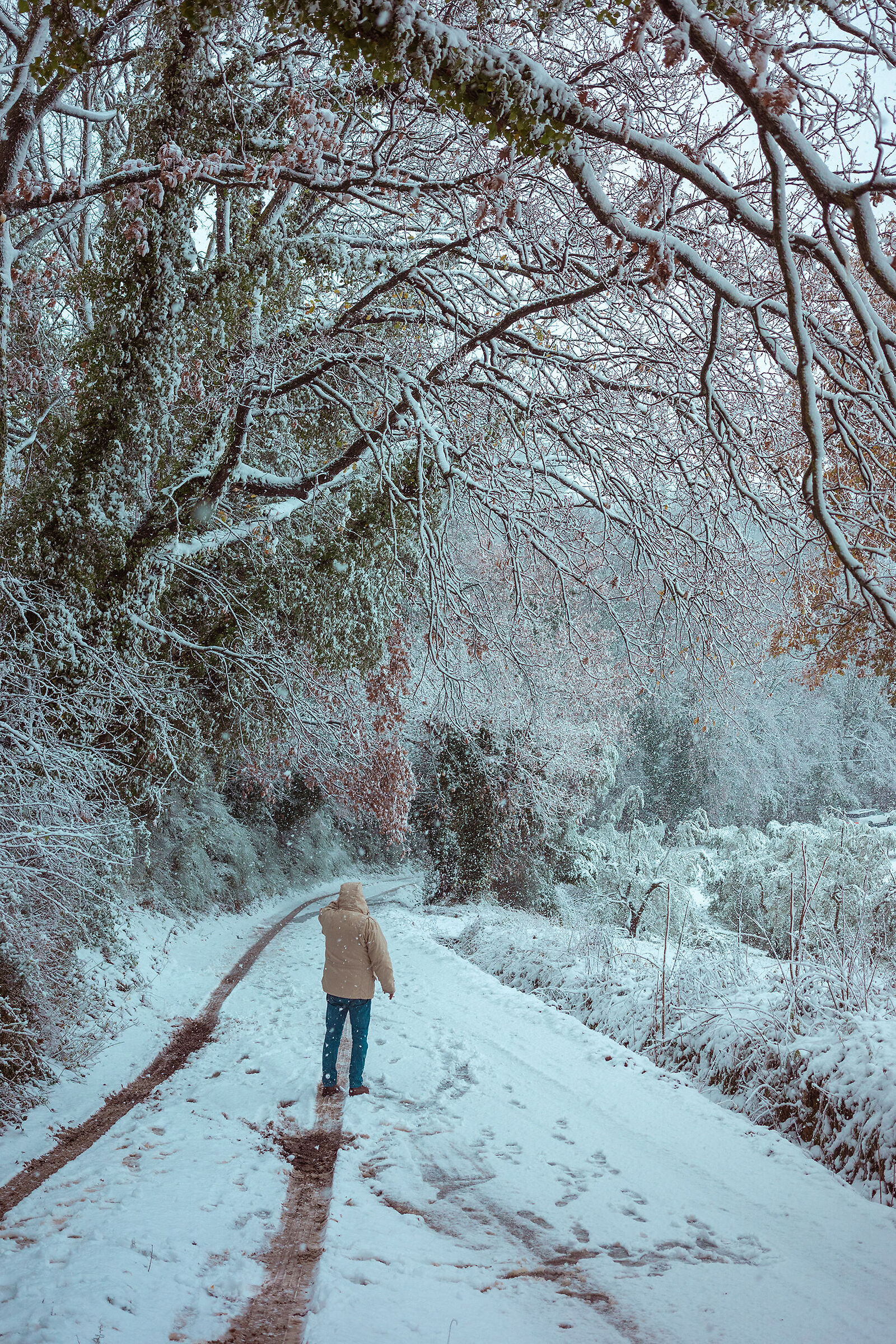 Snow