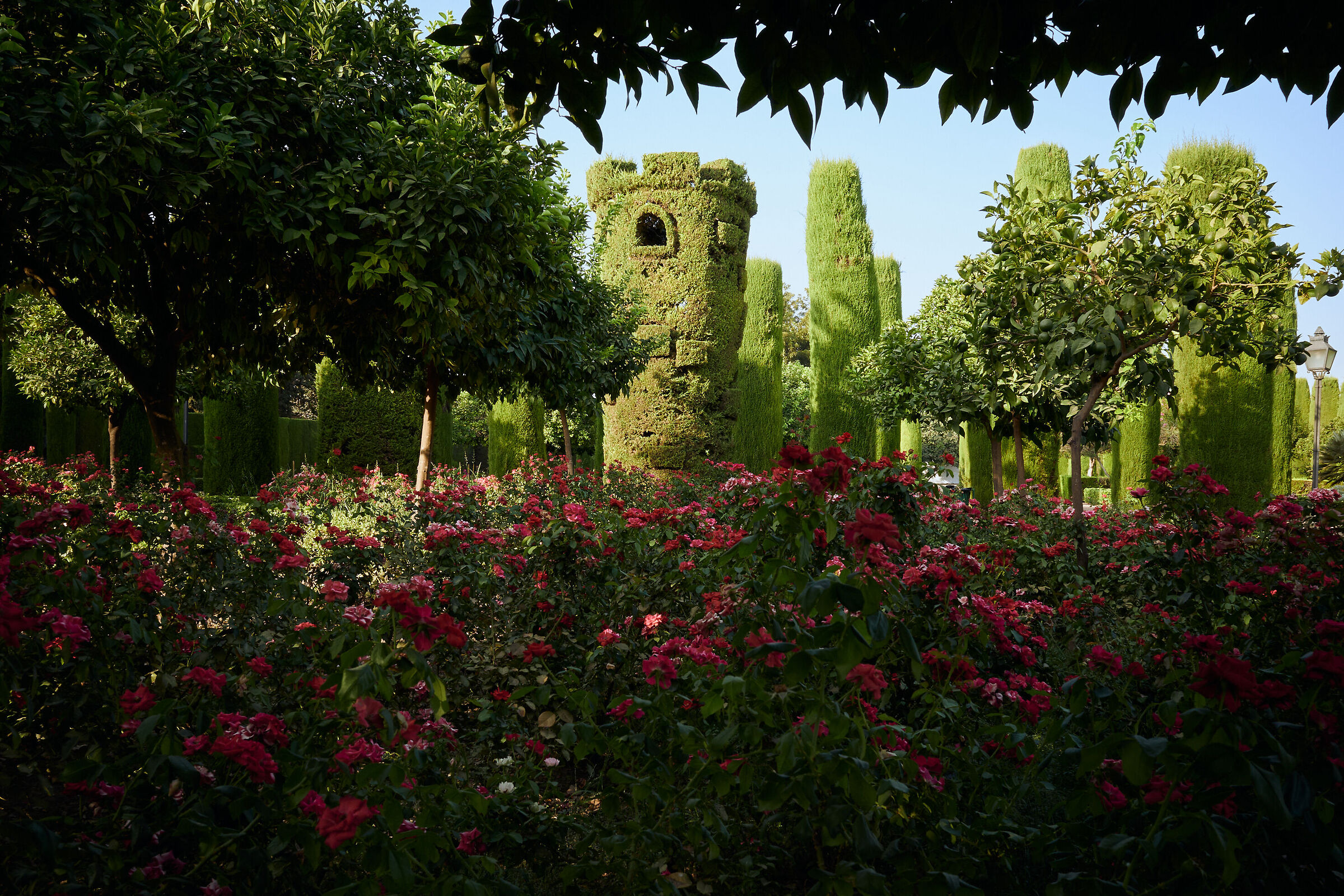 Silenzio, fiorisce la Spagna
