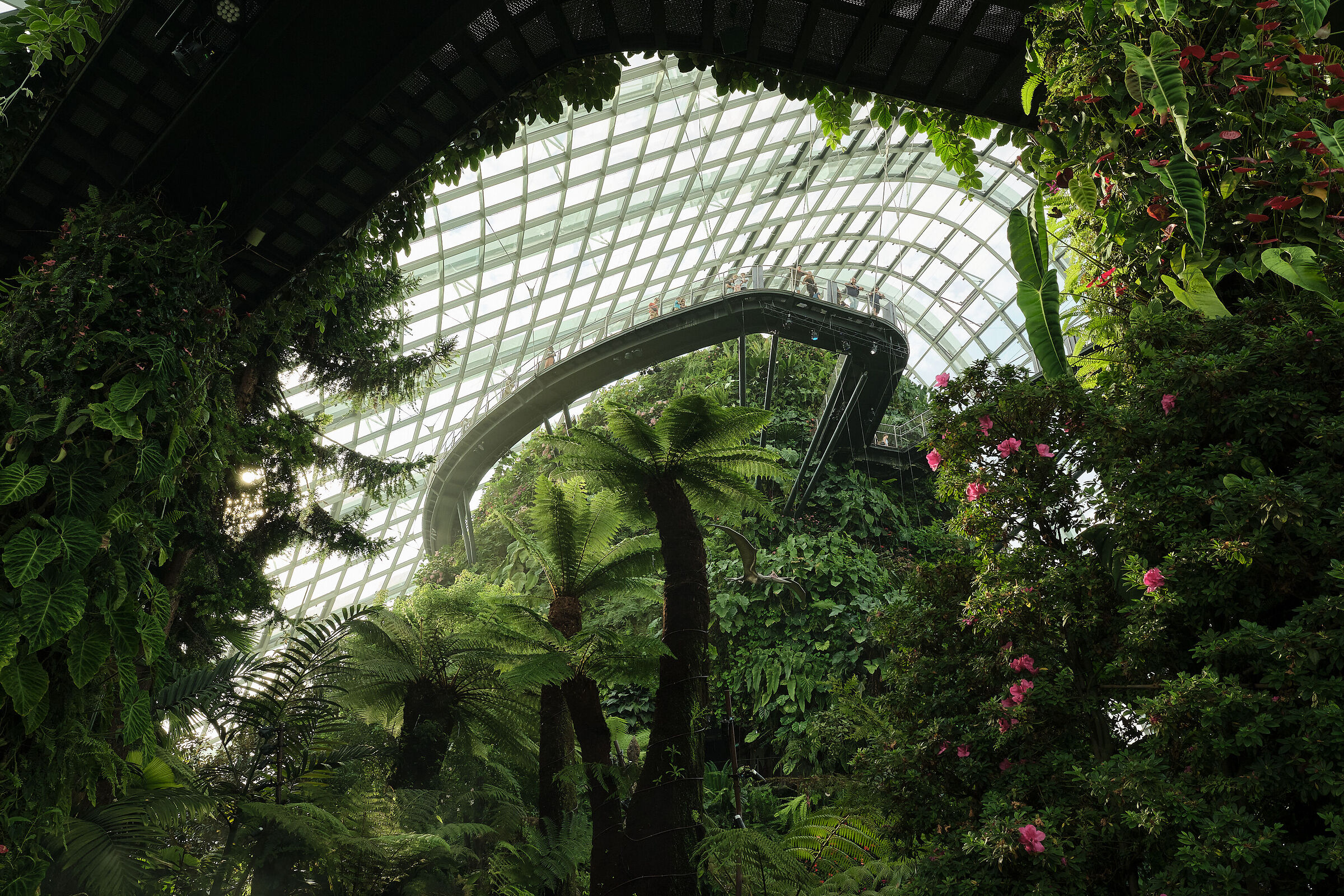 Il Giardino dei Raptor