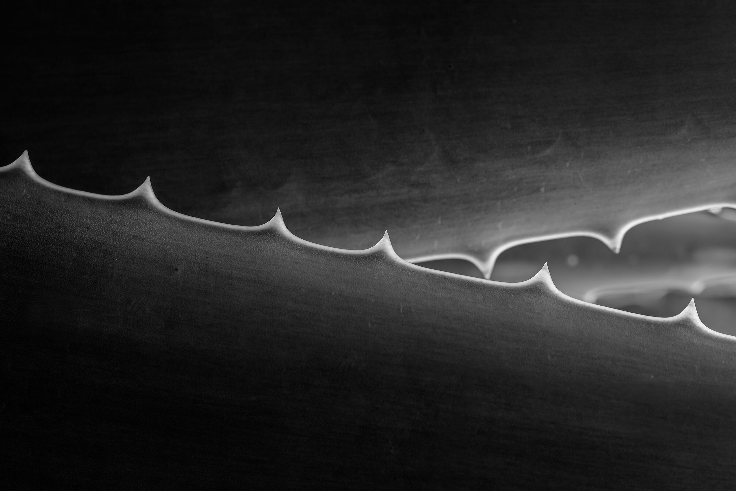 Protezione indesiderata