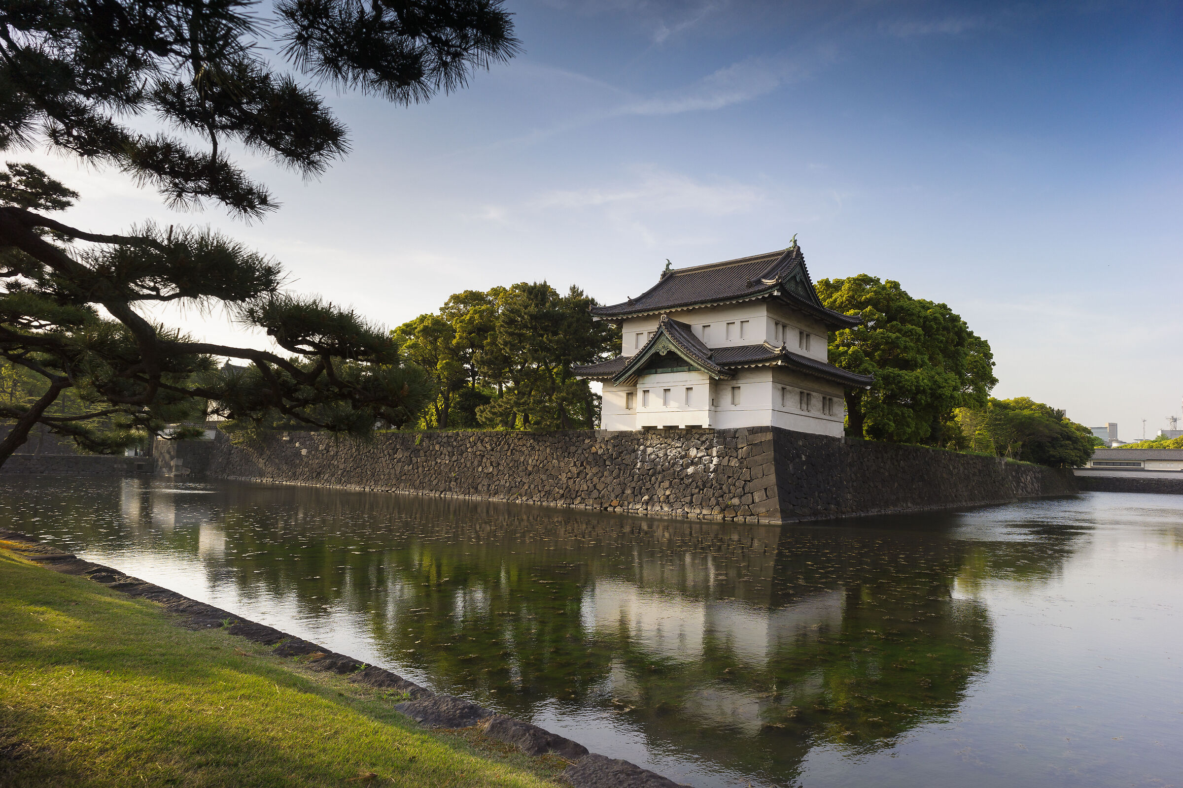 Silenzio d'acqua, cuore di Tokyo