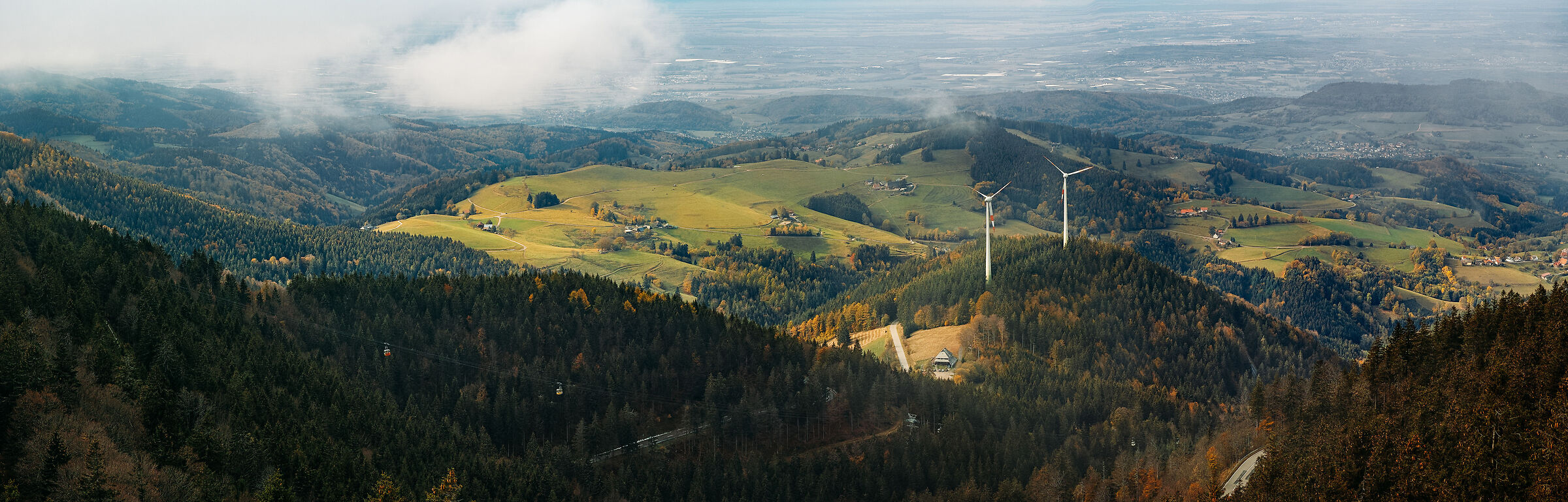 Friburgo, oltre il bosco