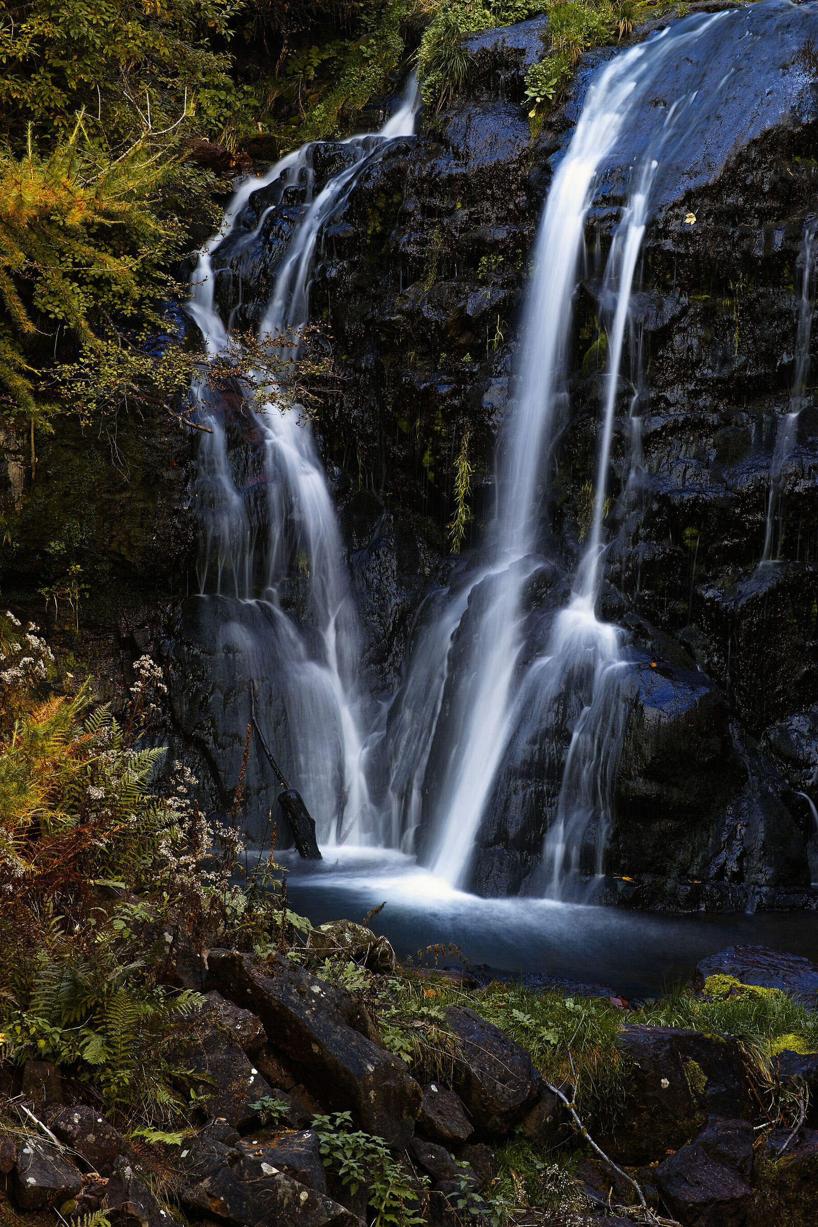 Seta d'acqua