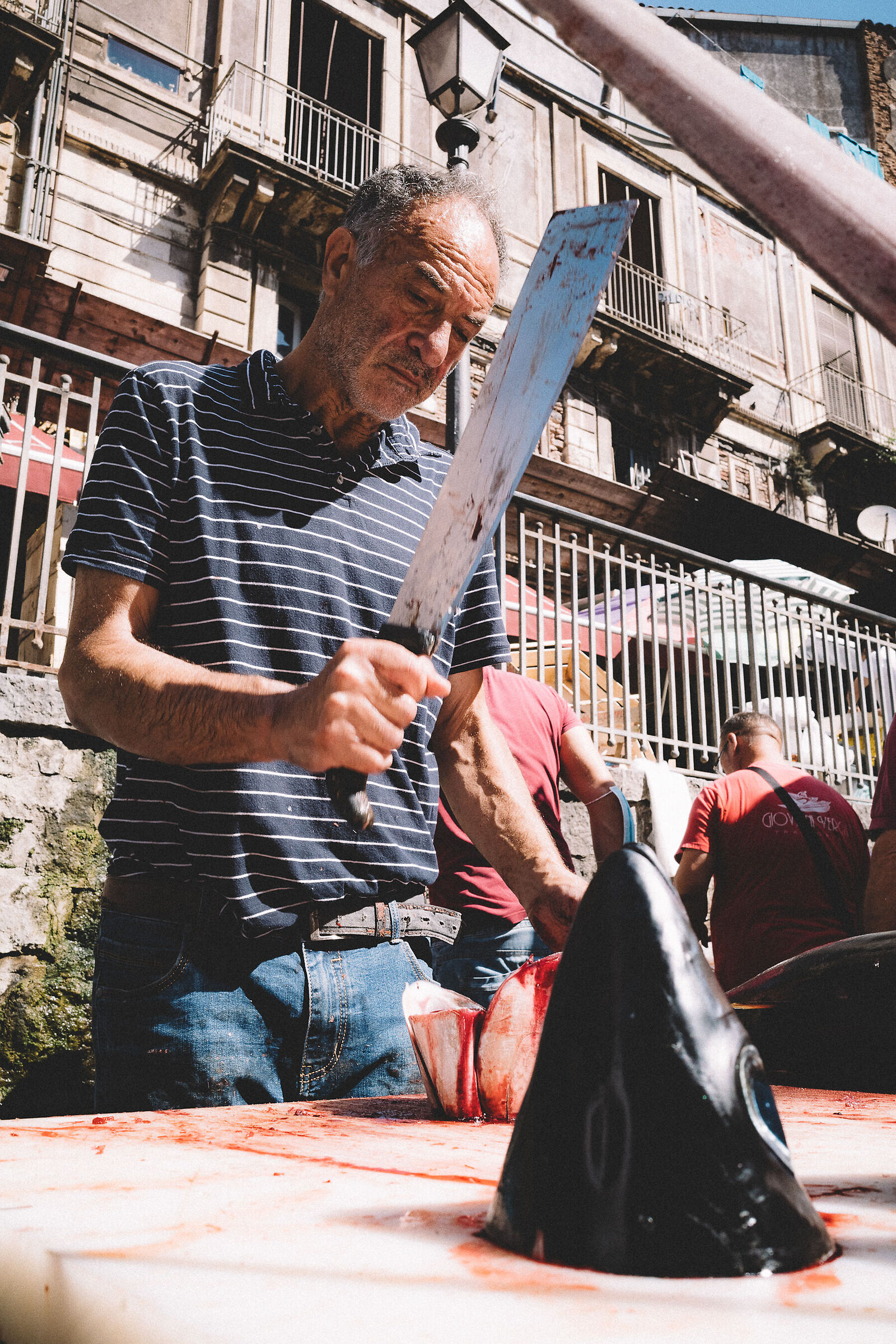 Lama, sale e sole