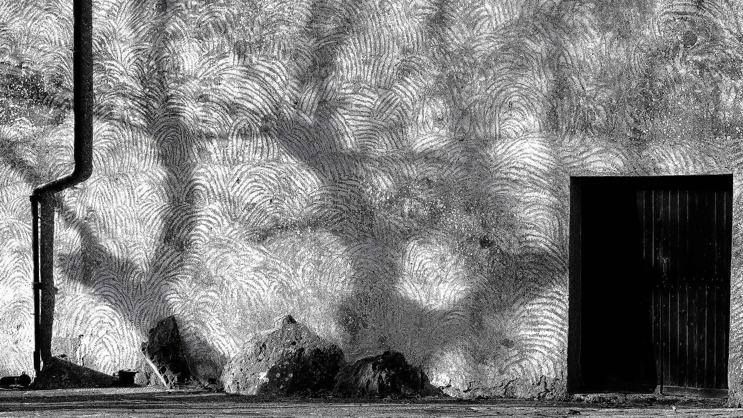 Ombra di un albero sul muro di una casa