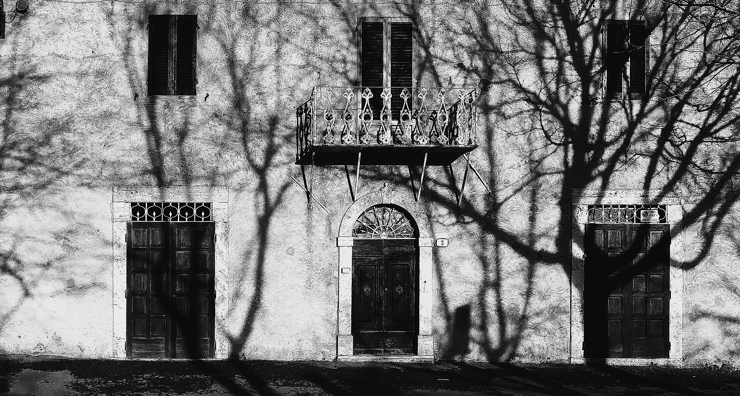 Ombra di alberi sul muro di una casa