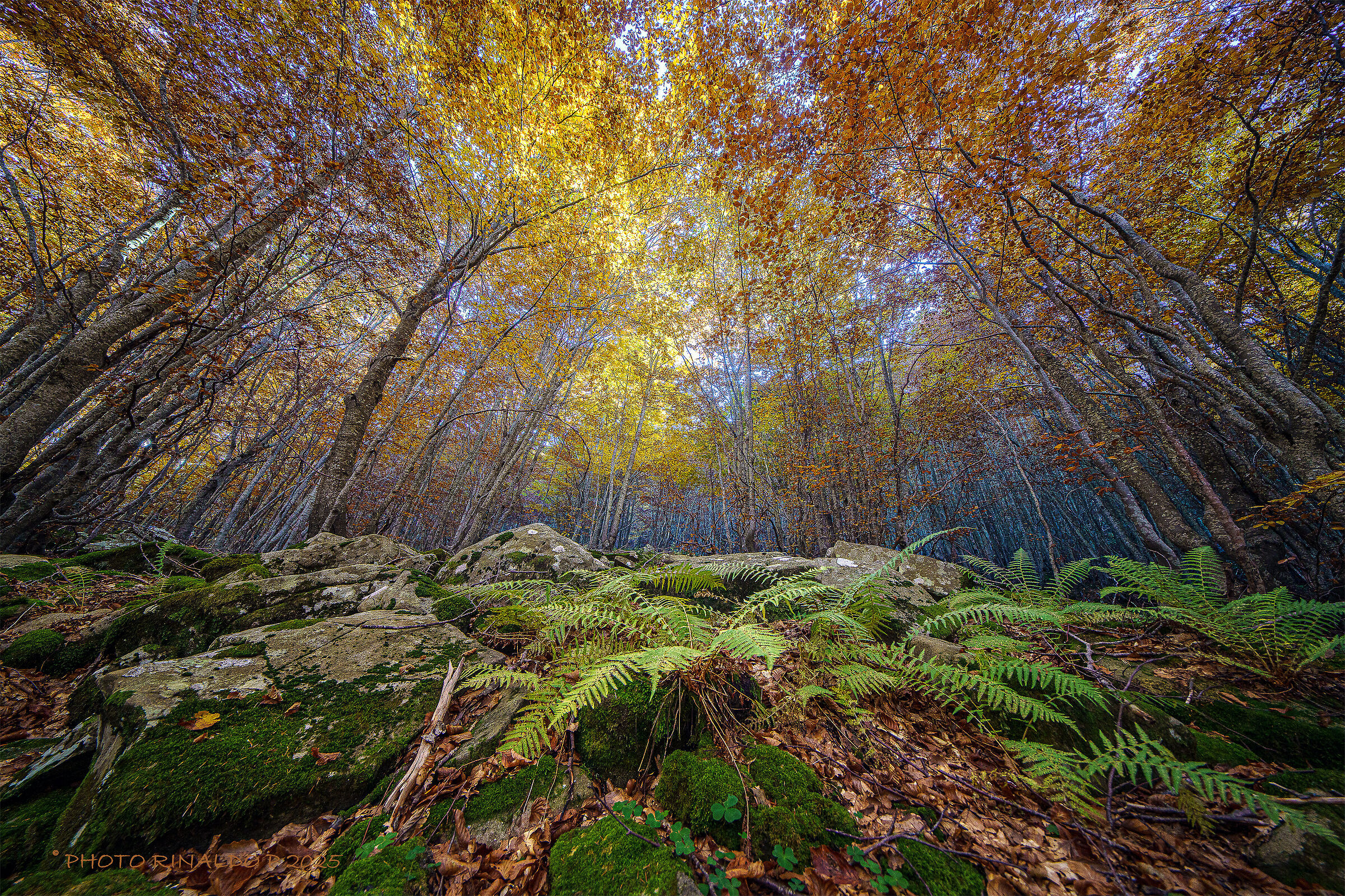 Tuscan-Modena Apennines