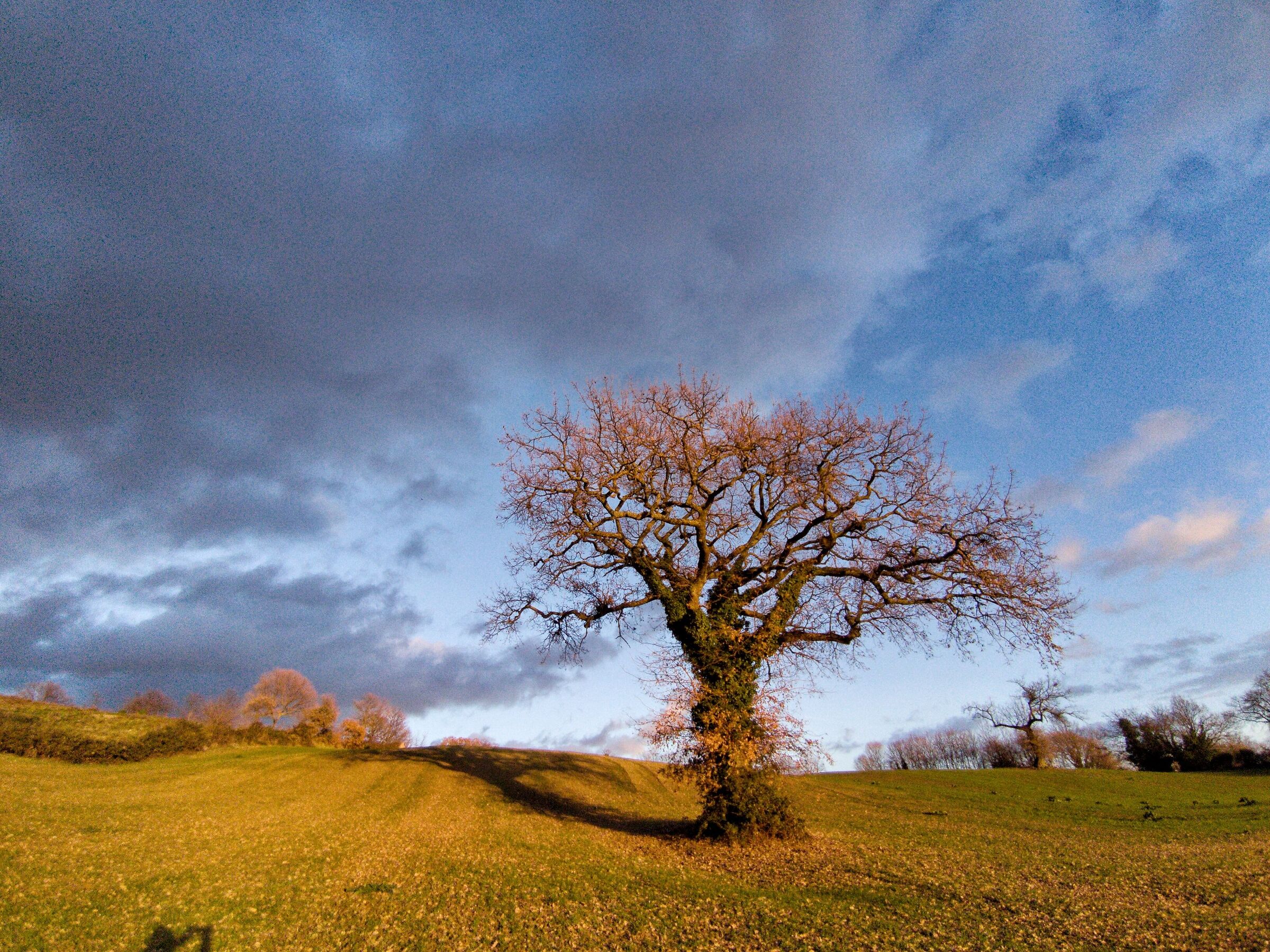 Spot light at sunset