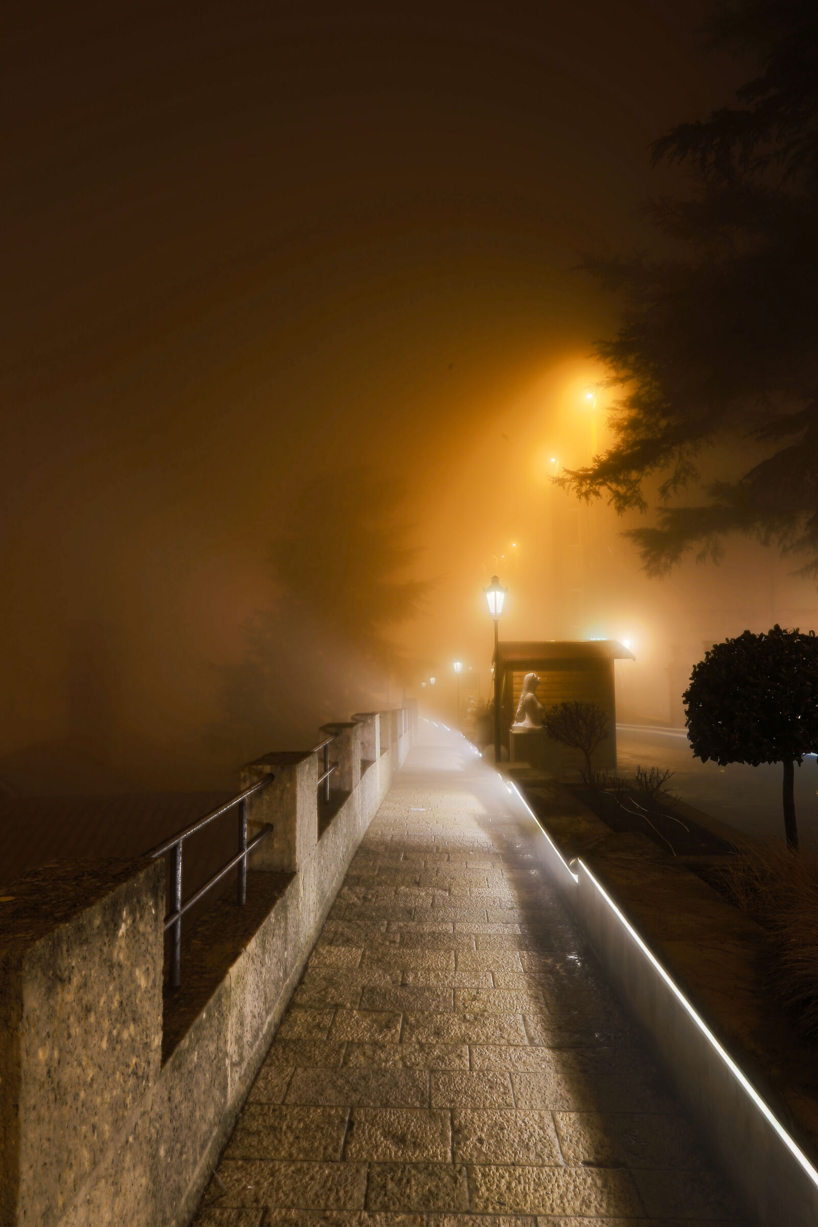Passeggiando tra la nebbia