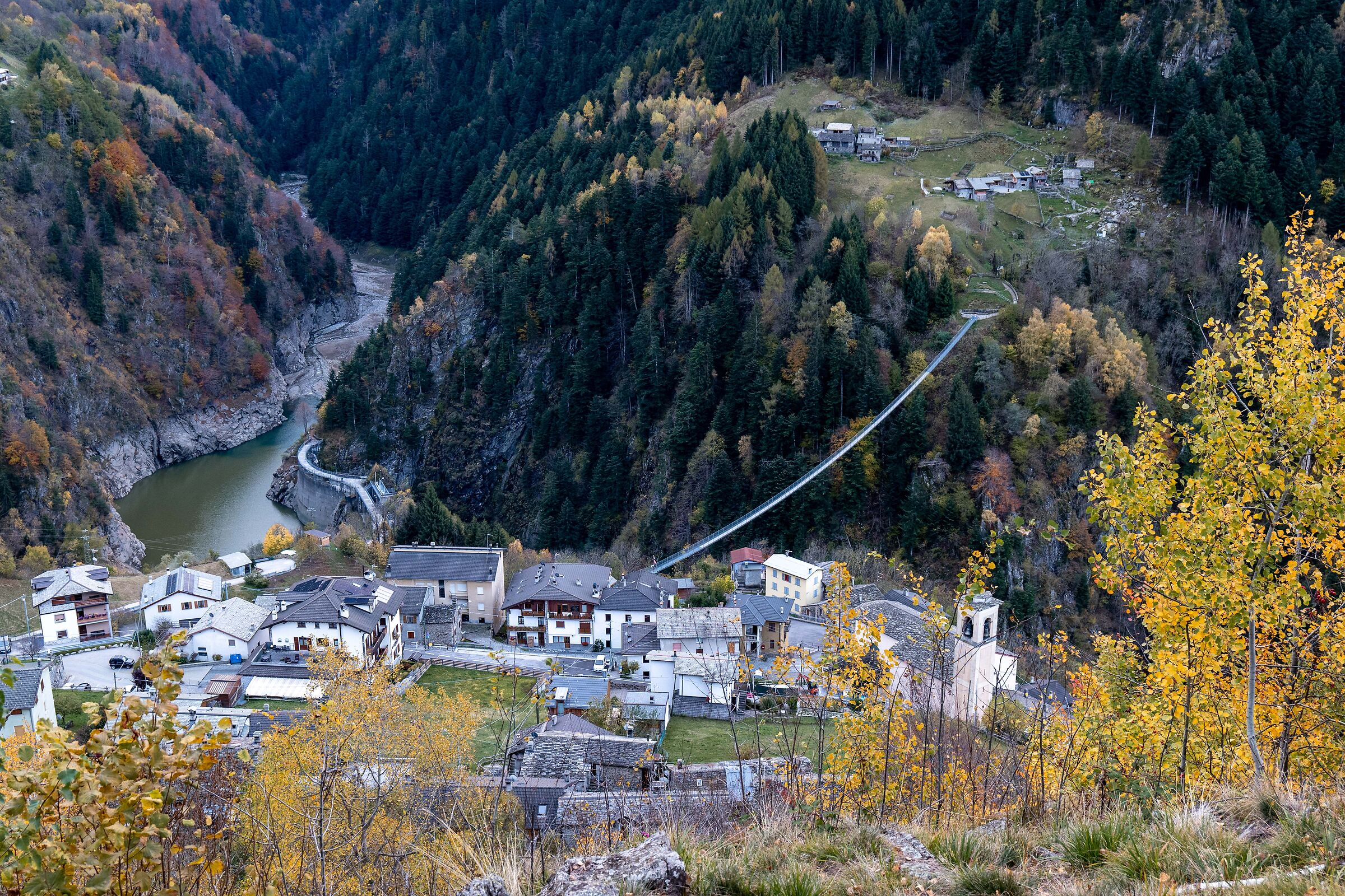 tartano dall alto