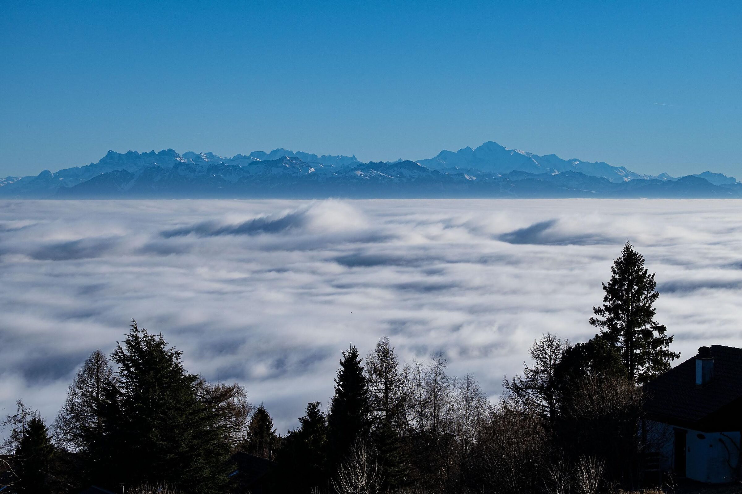 Mont Blanc and Dents du Midi from Balcon du Jura, CH