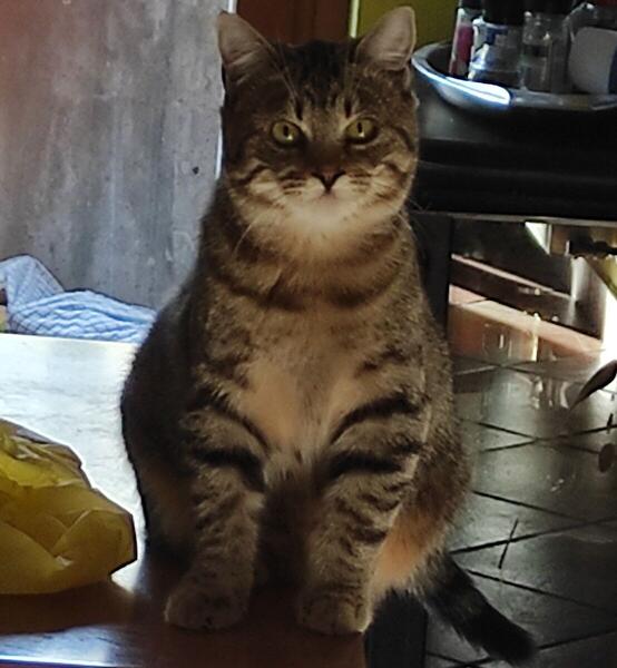 Foto