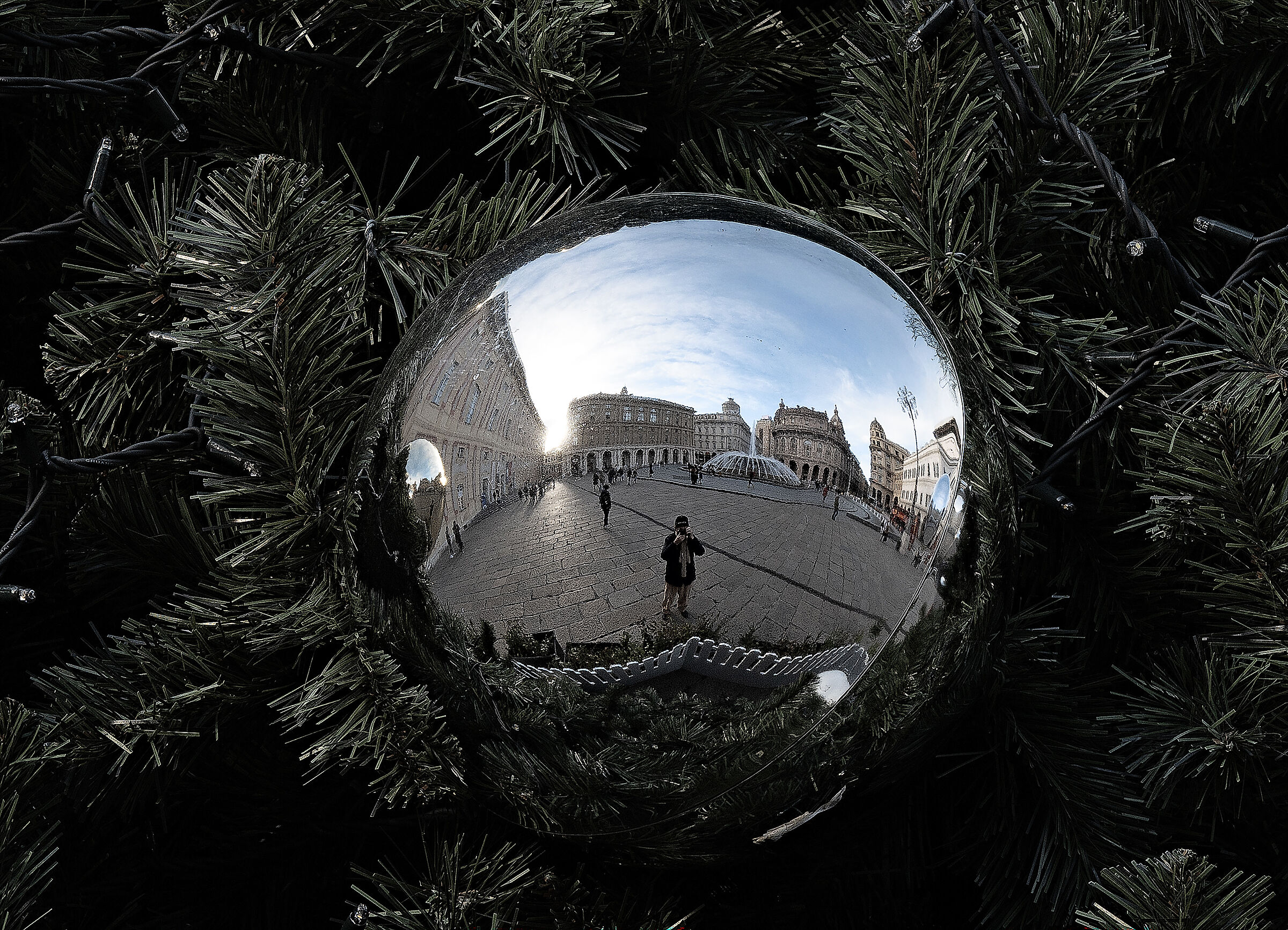 A Reflected Photographer