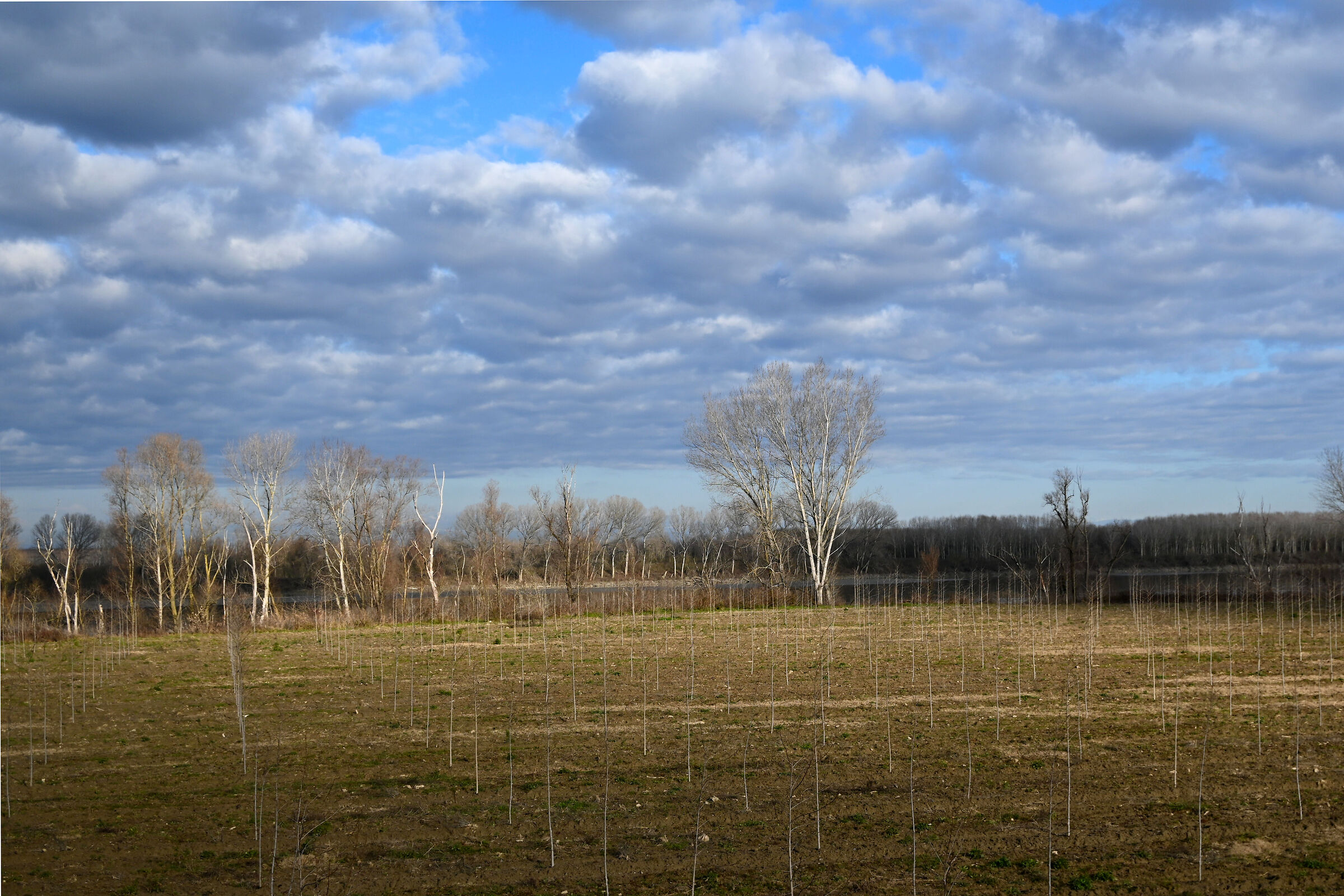 Luci e ombre sul grande fiume