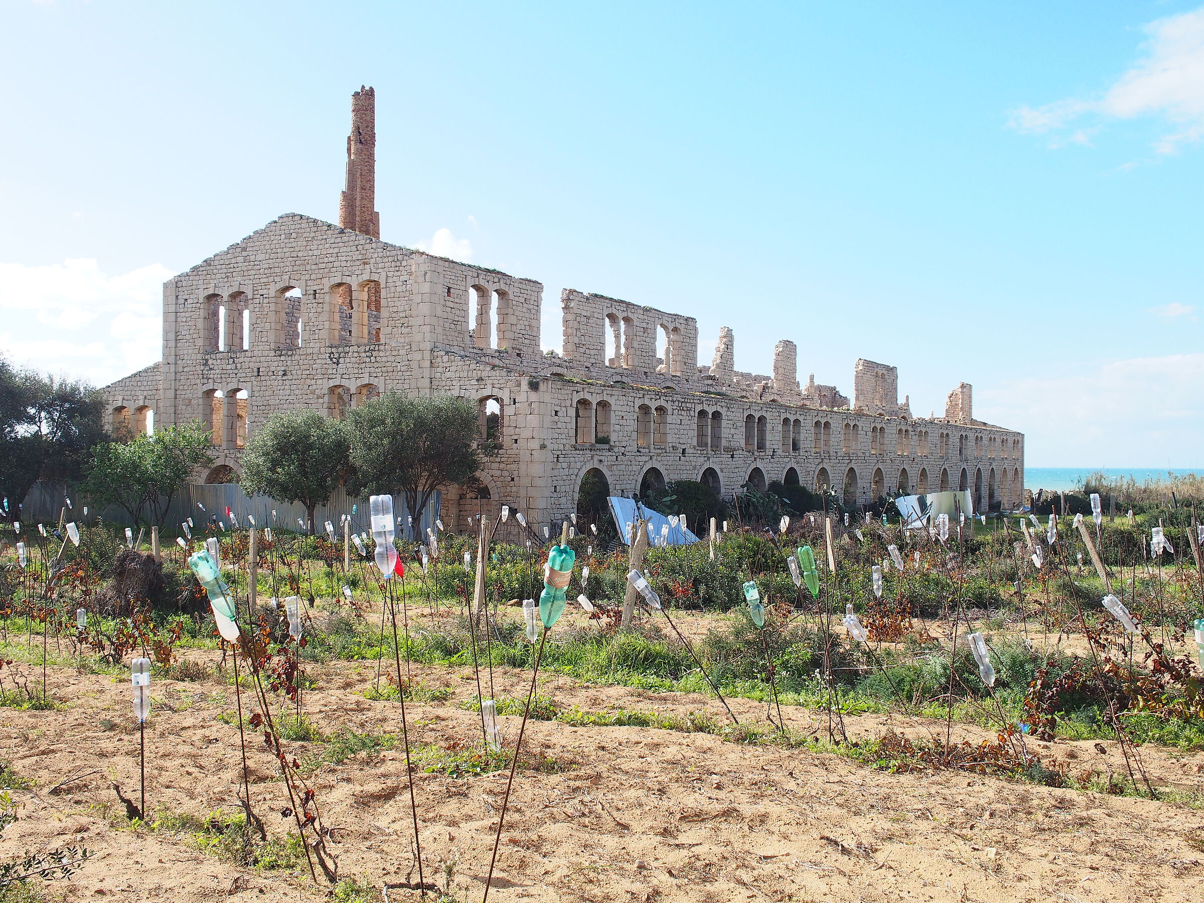 Archeologia agro.industriale con bottiglie (2025)