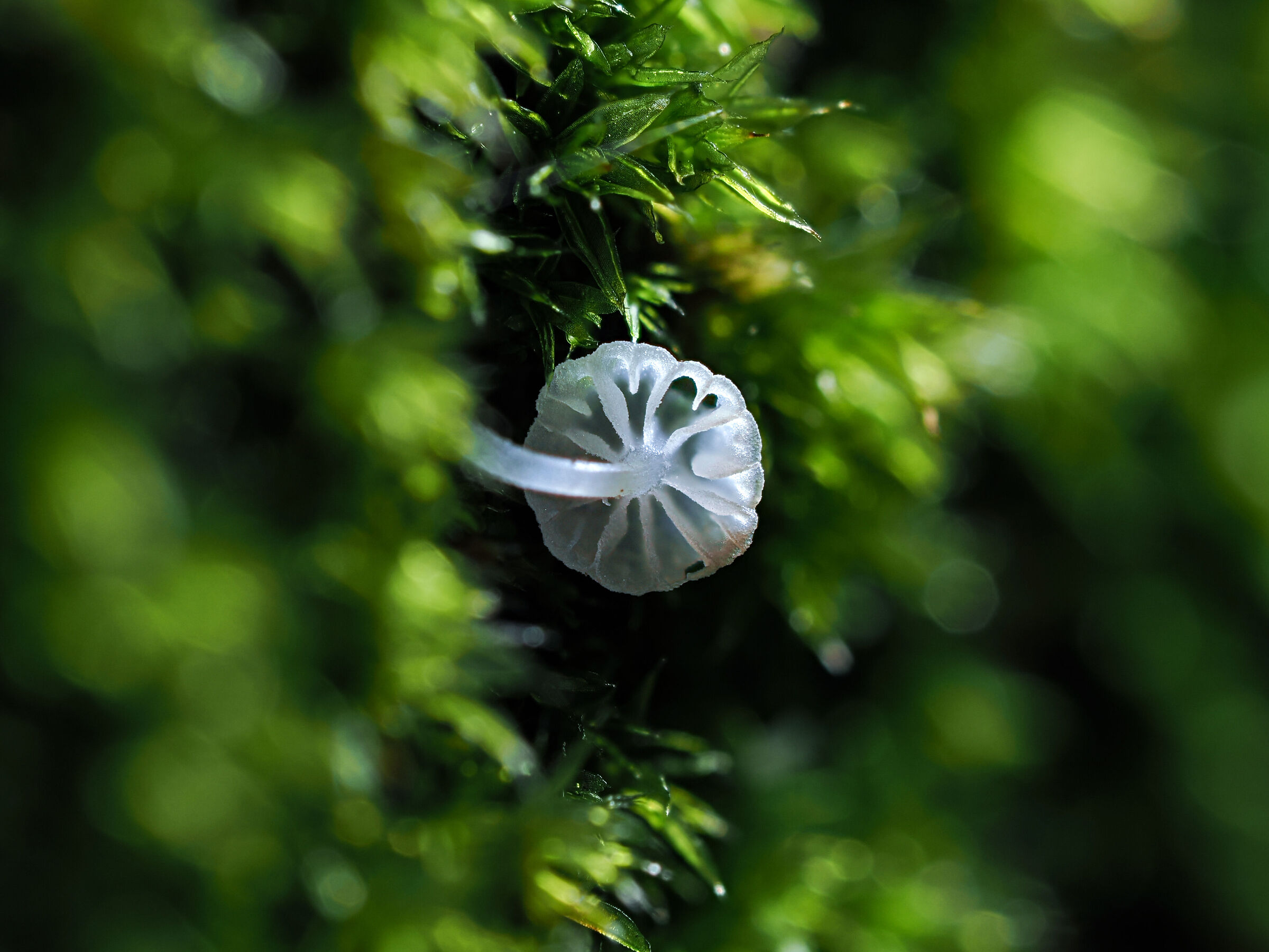 Baby! Very small.....