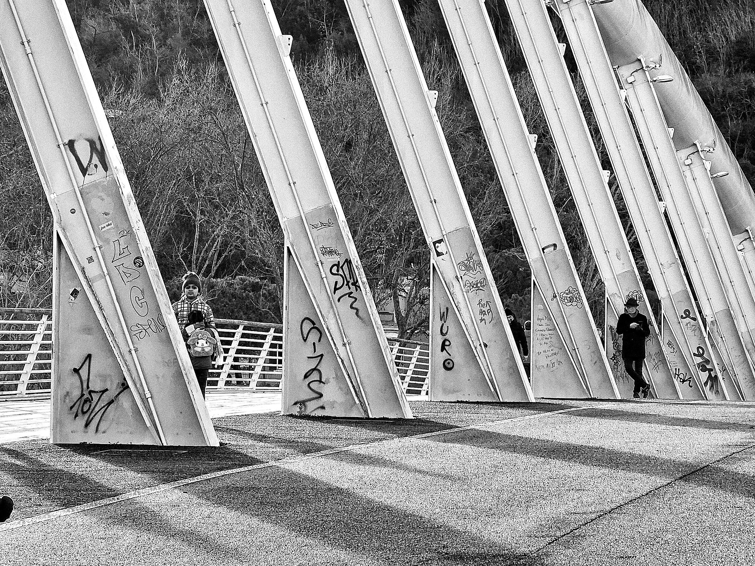 Roma, Ponte della Musica