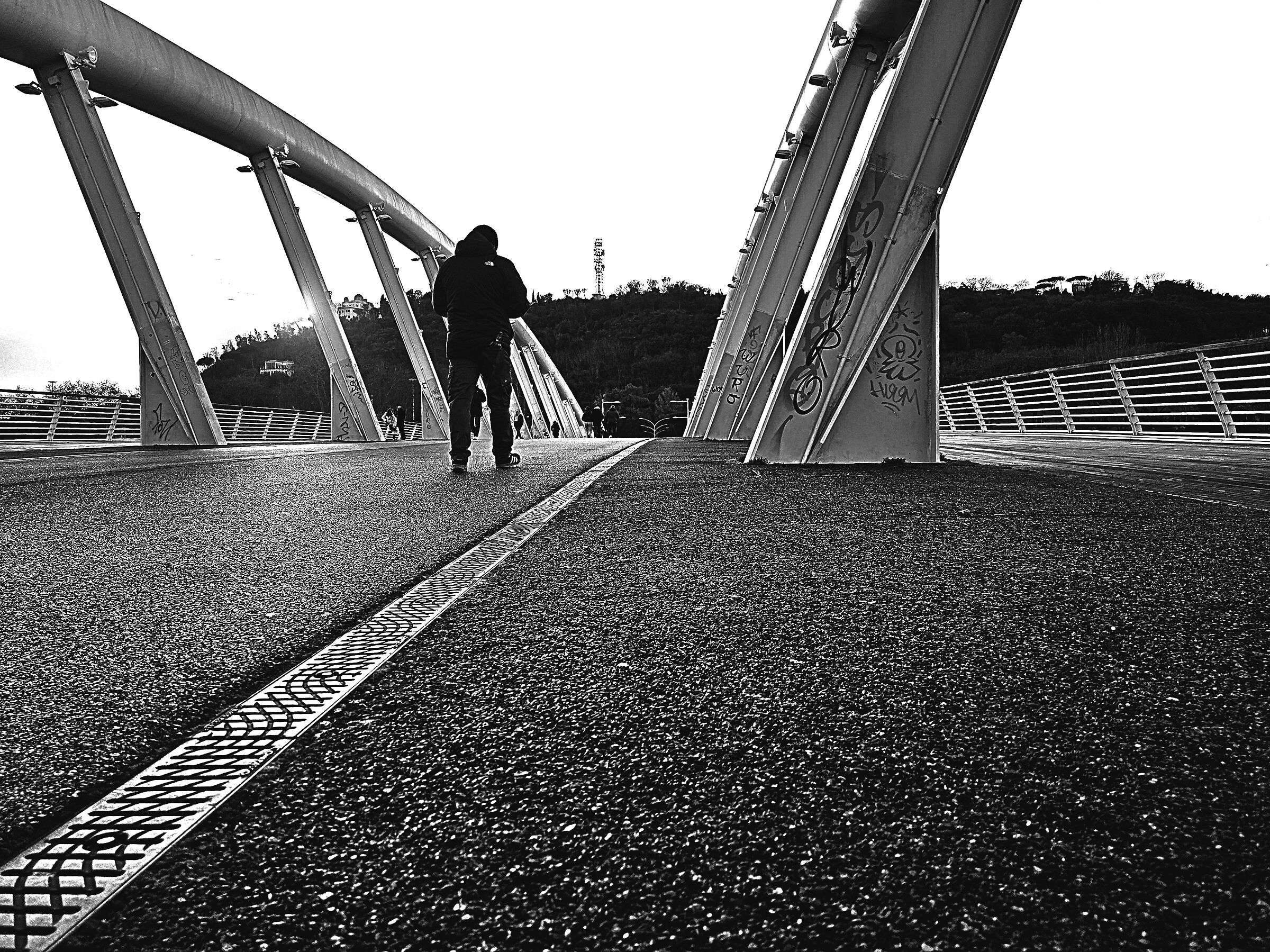 Roma, Ponte della Musica