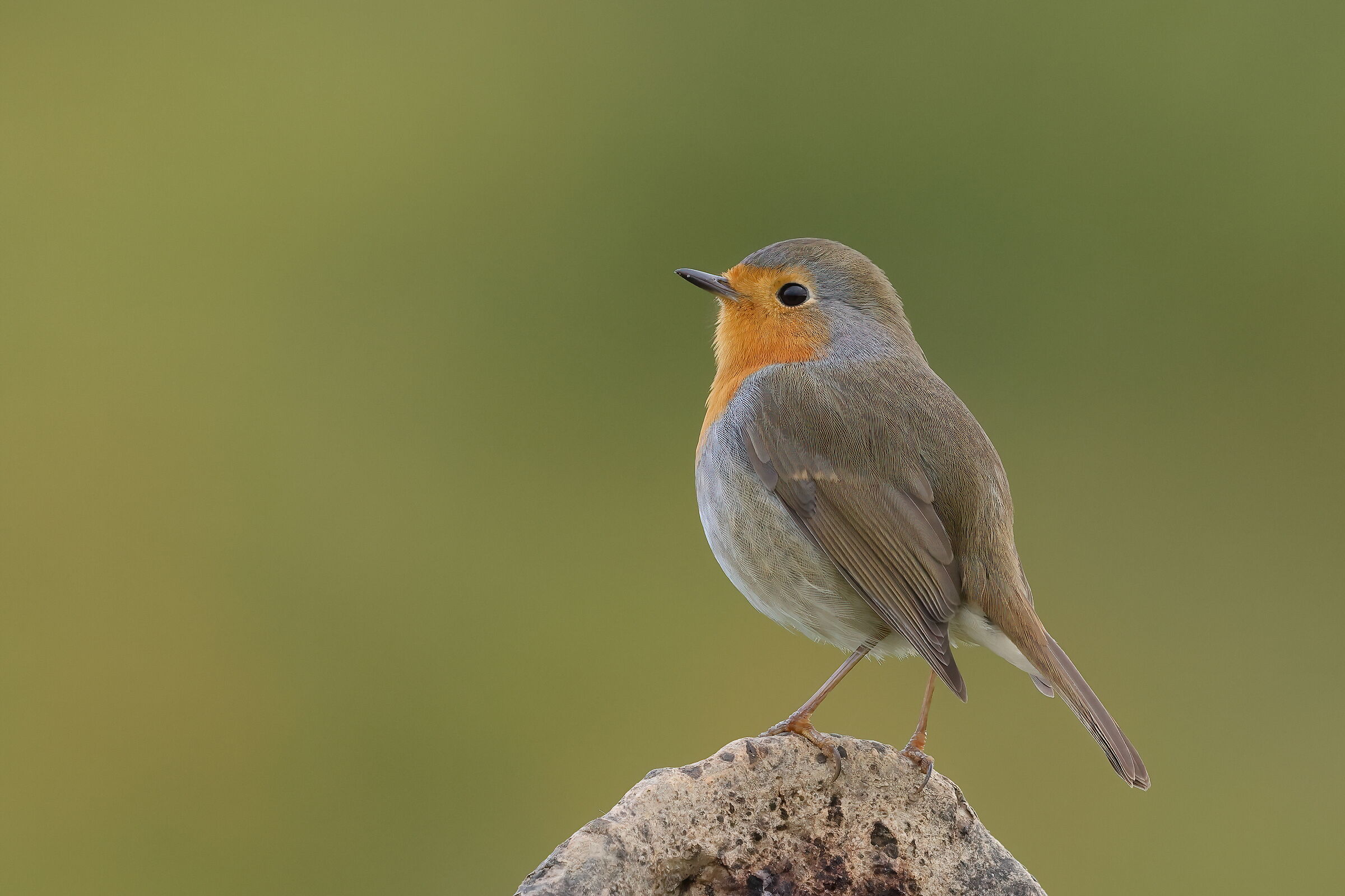 At the dawn of a new day