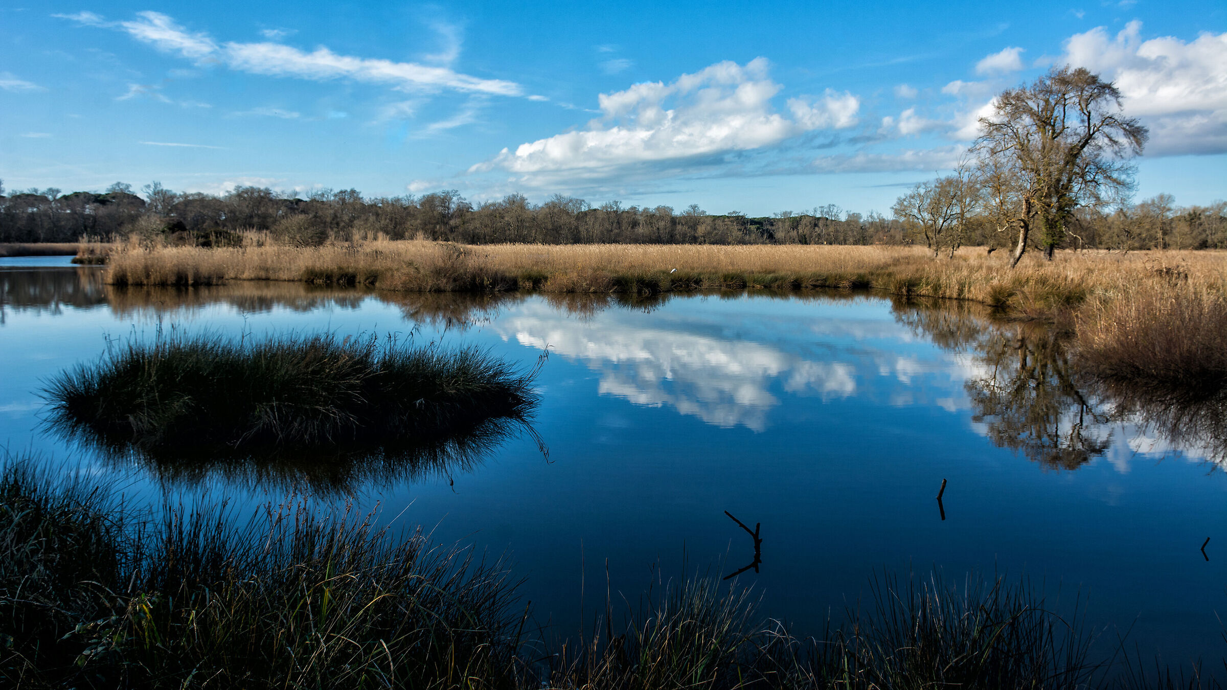 The lakes of San Rossore