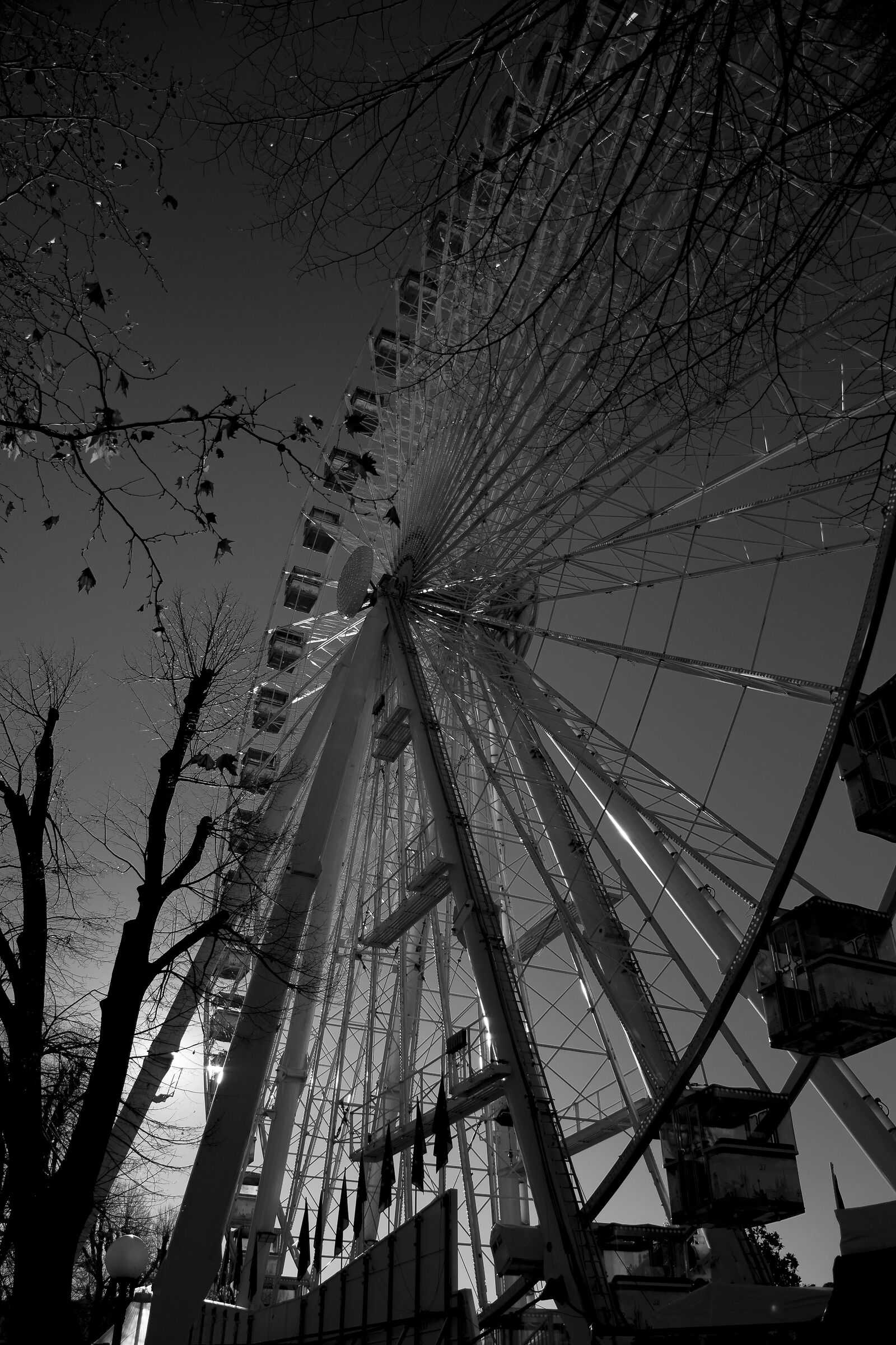 Ruota panoramica a Firenze