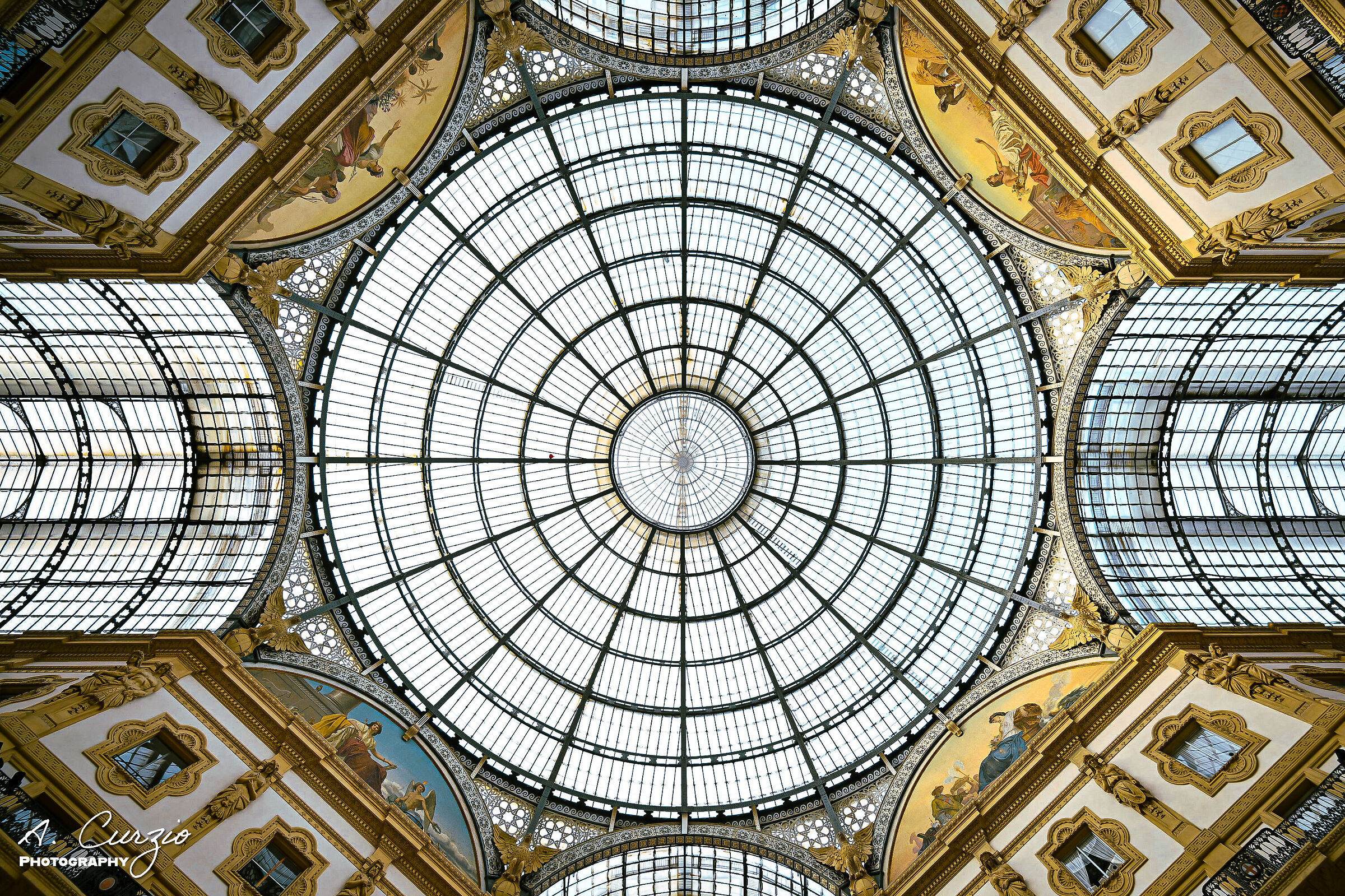 In the Gallery