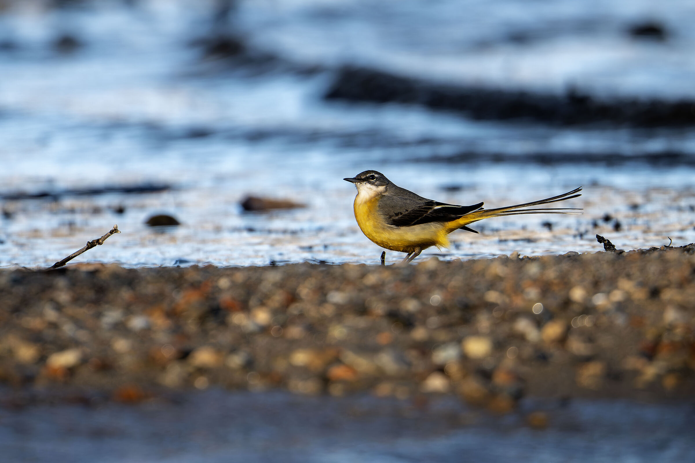 The Yellow Ballerina in a Beautiful Light