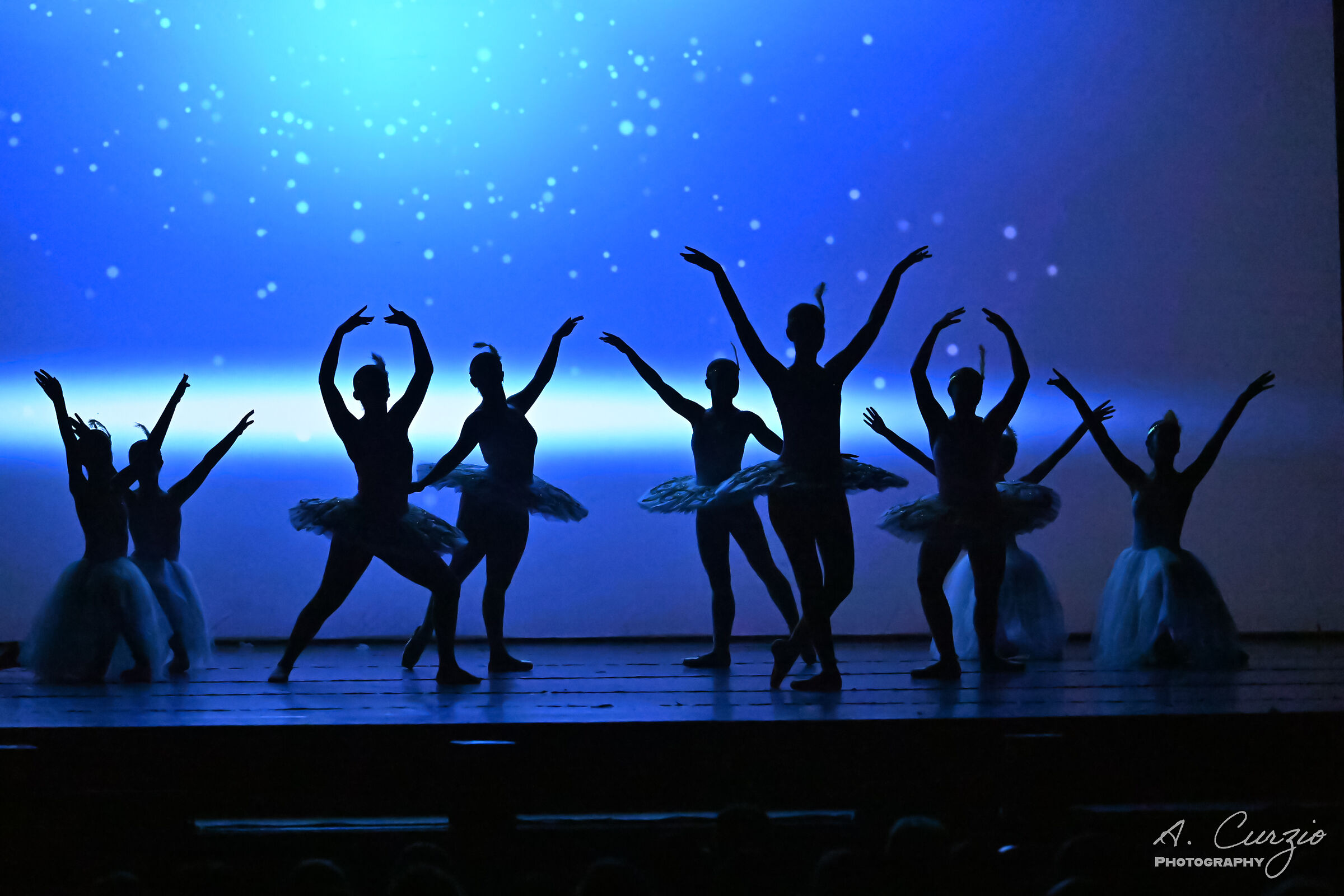 Let's dance