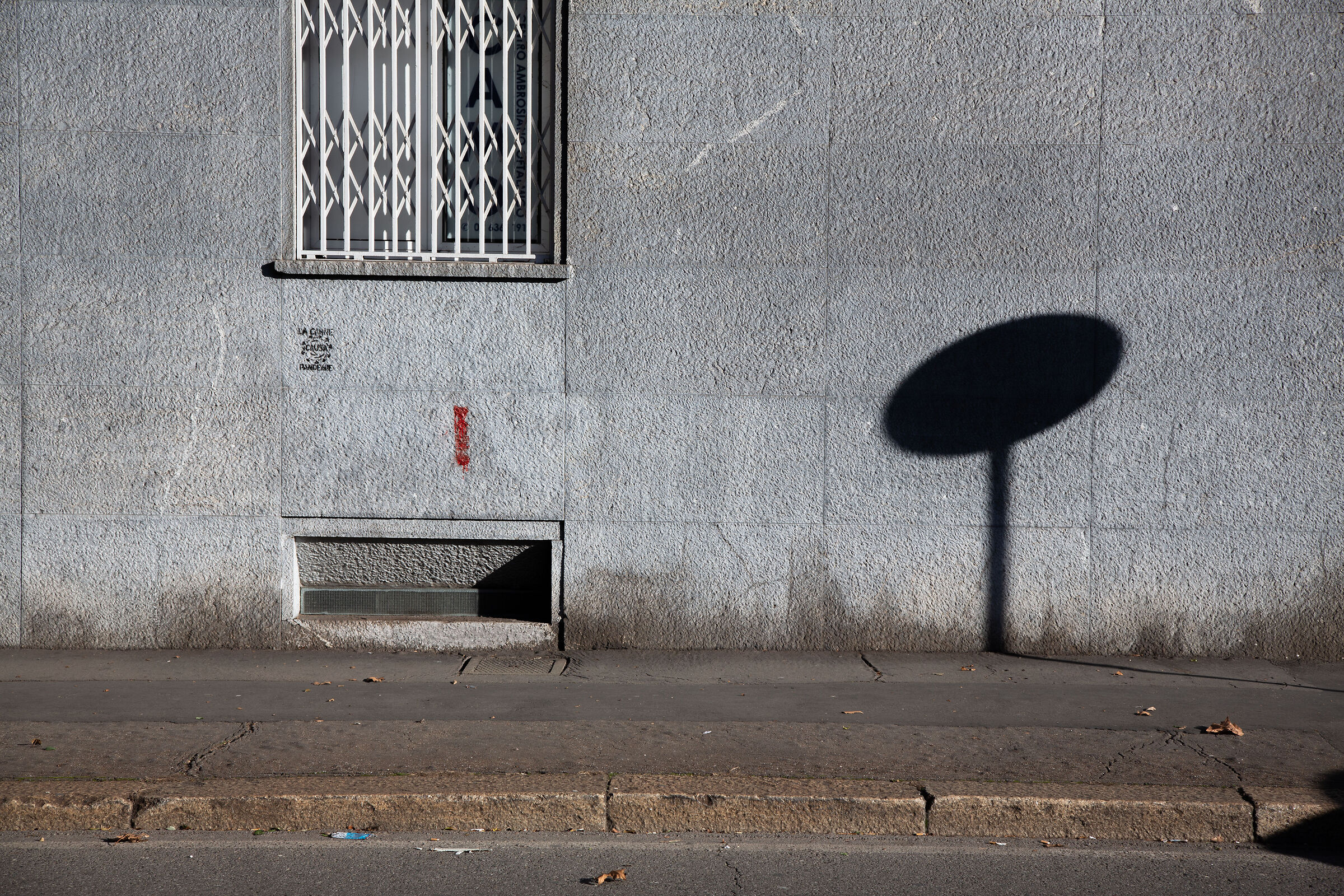 Untitled Photo