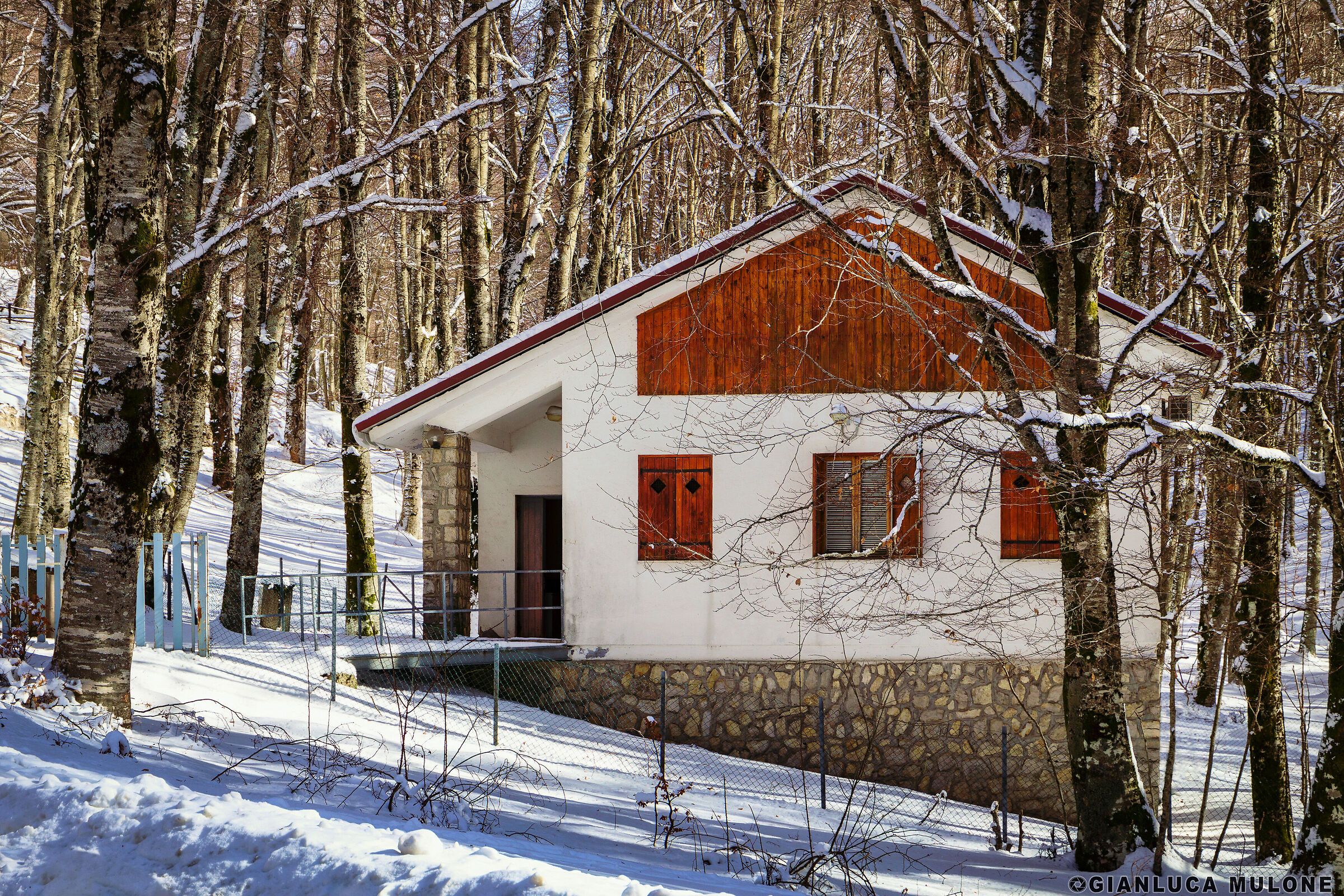 The house in the woods