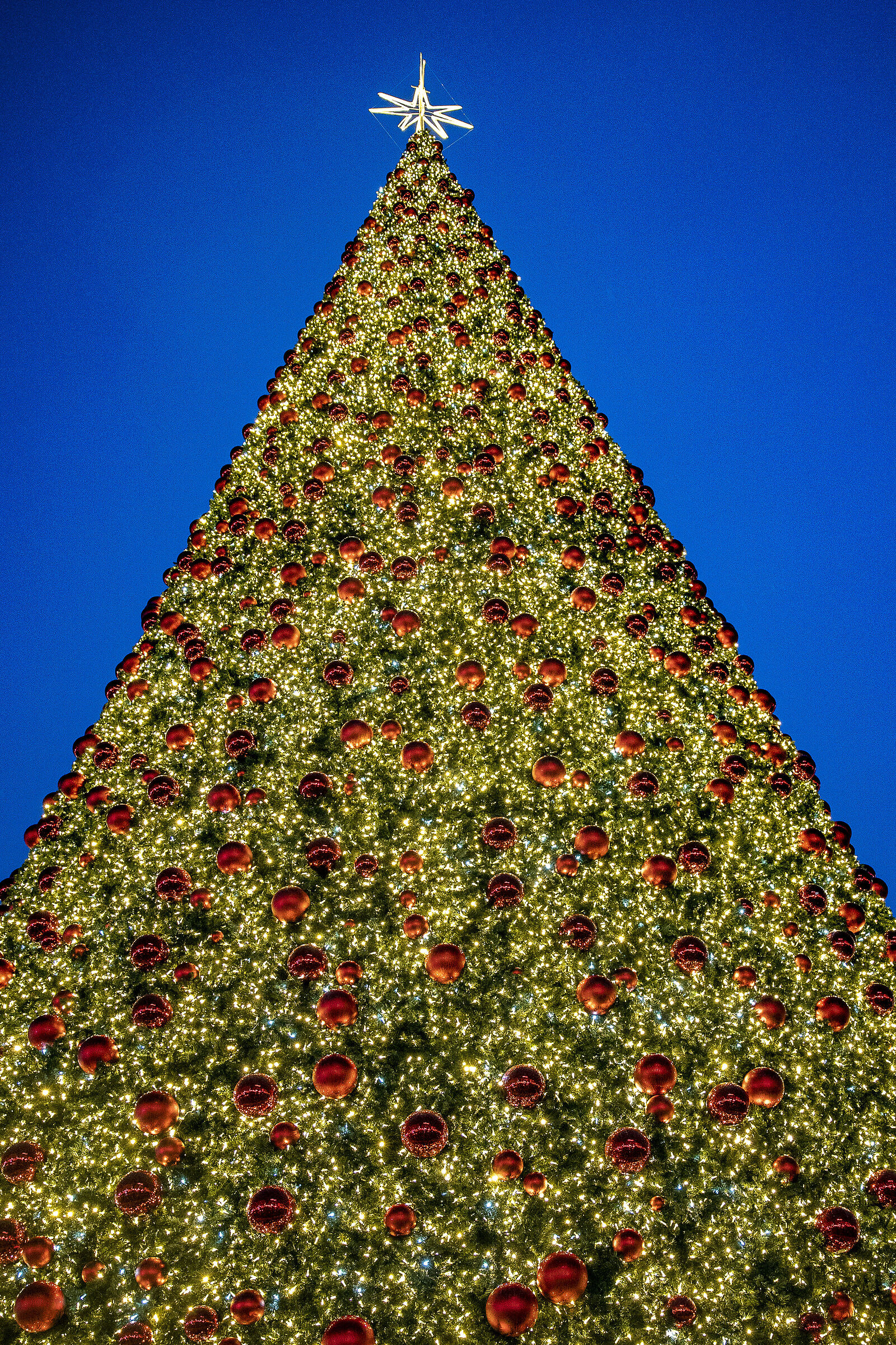 Christmas in Madrid