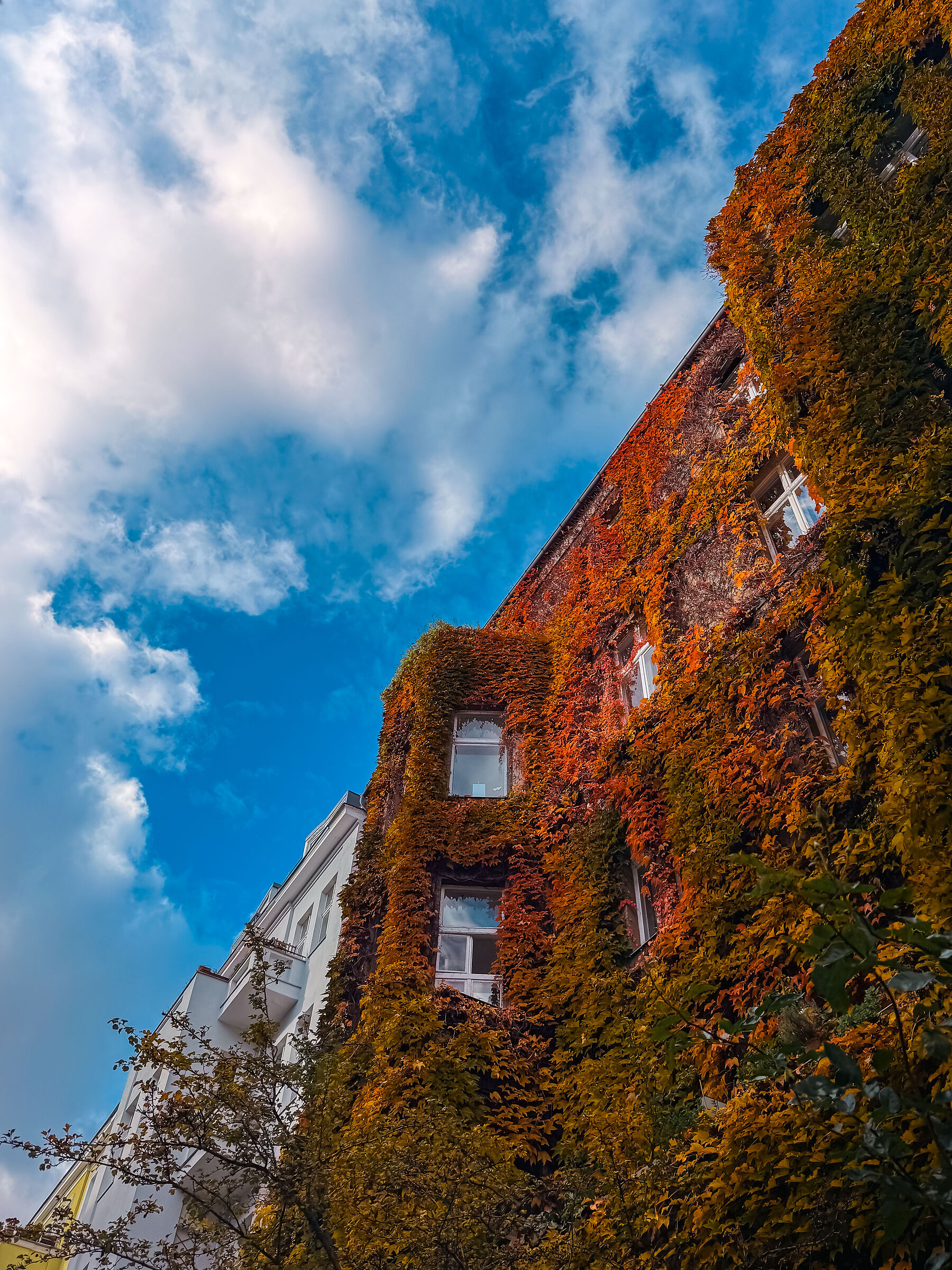 Autumn