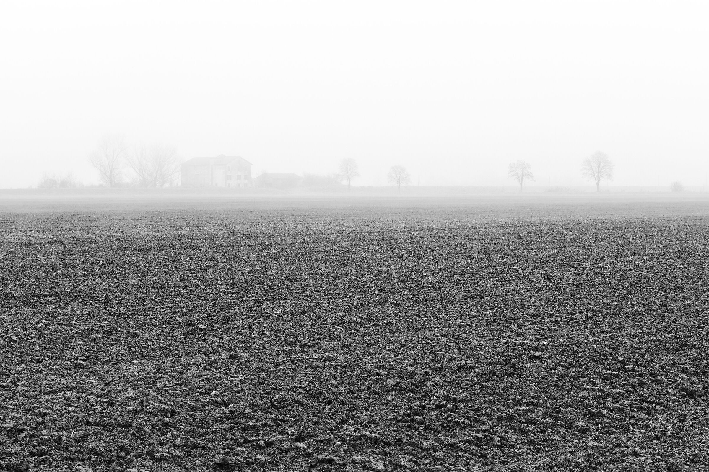 Nebbia in Pianura